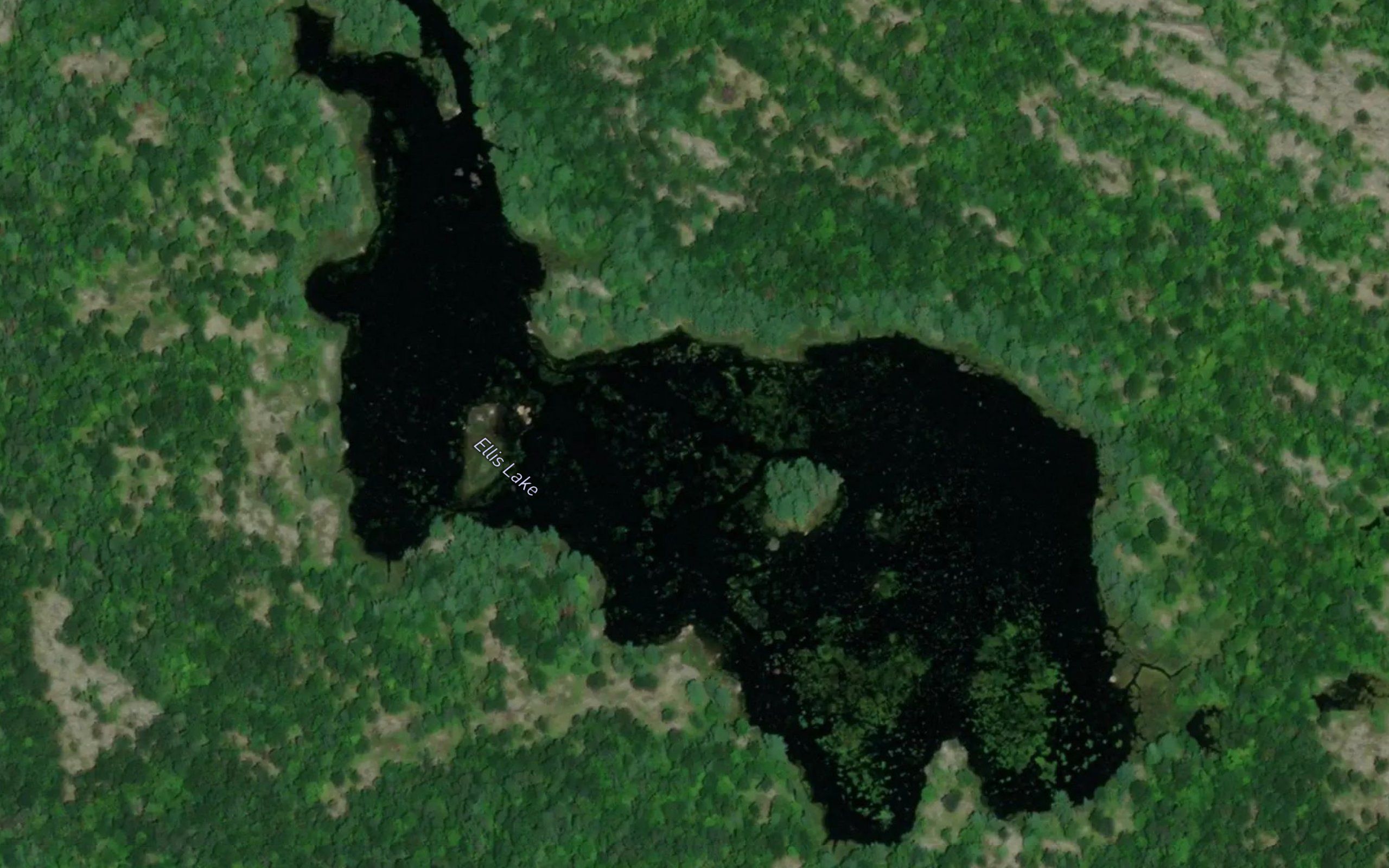 Ellis Lake