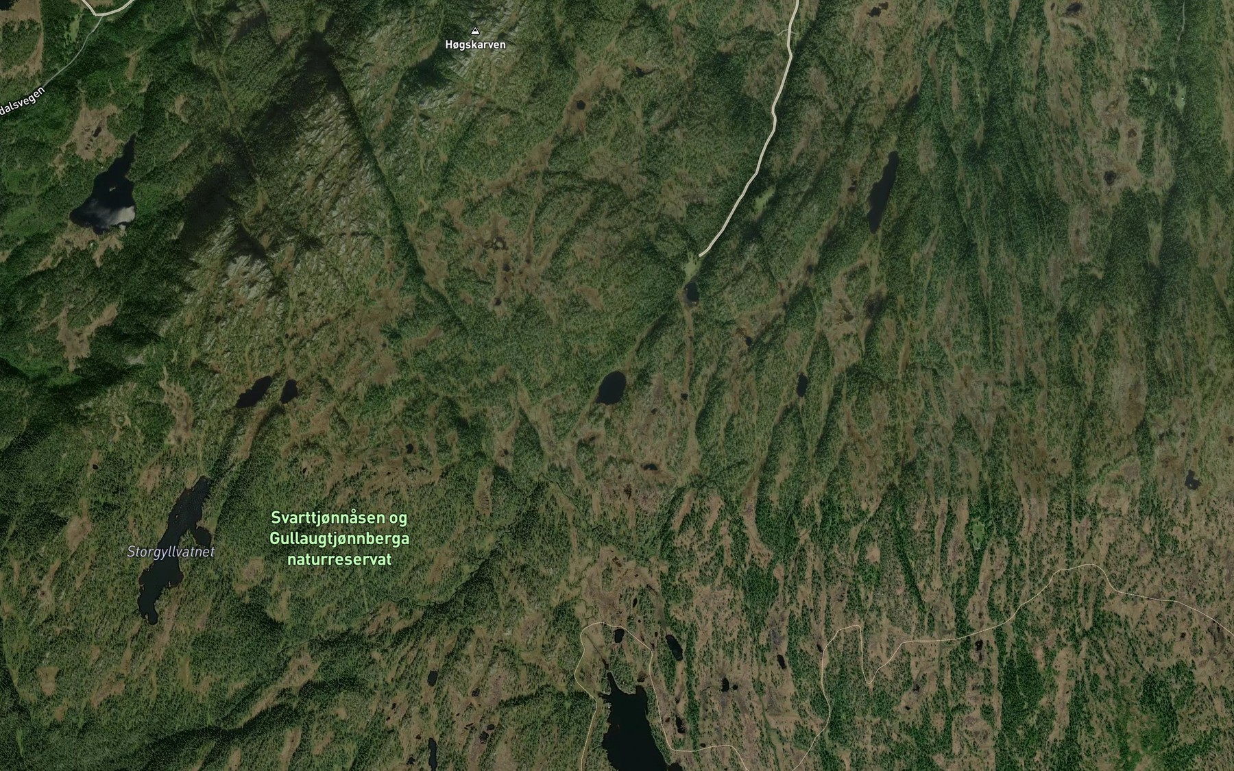 Satellite map of the Volltjornin