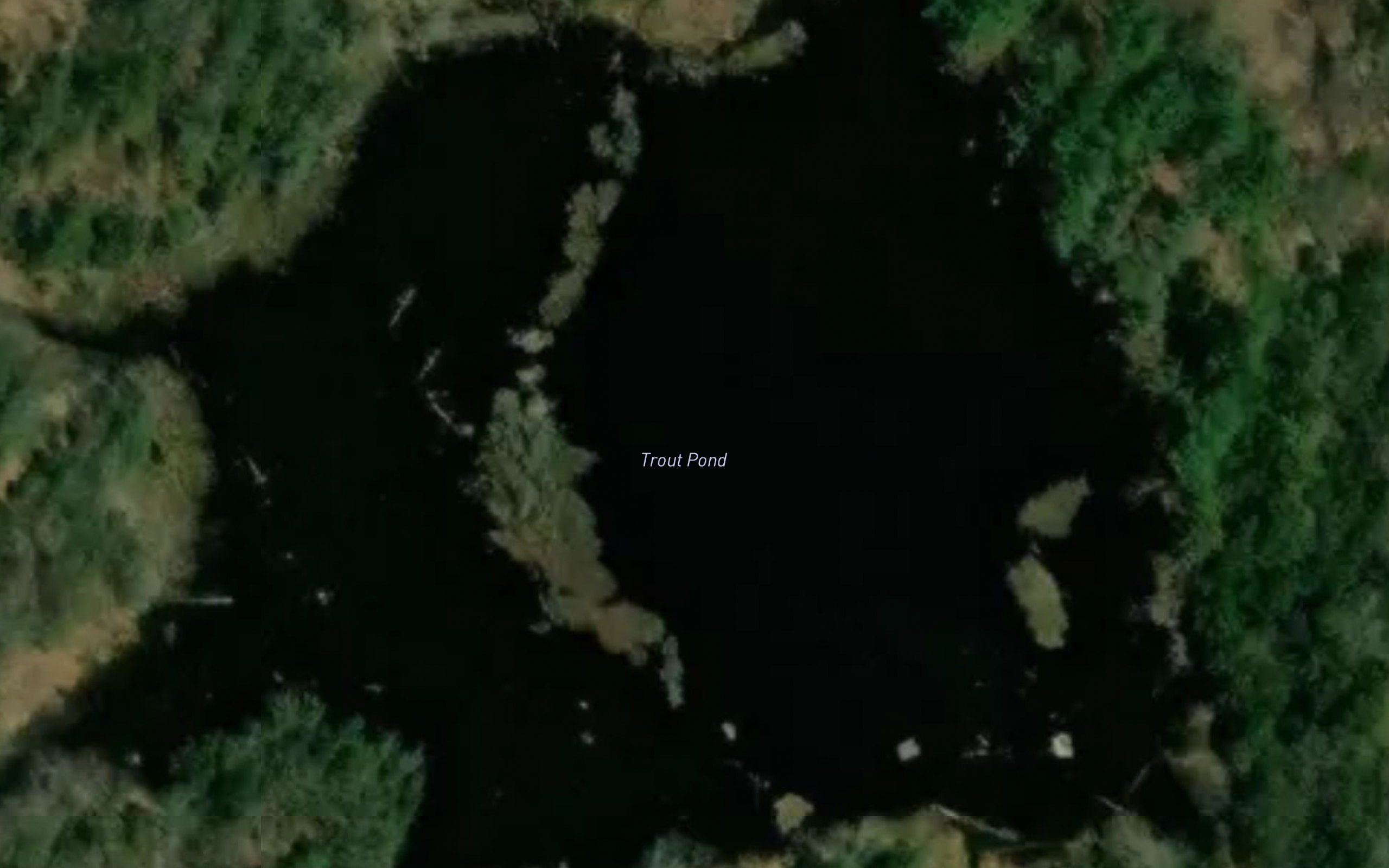 Trout Pond