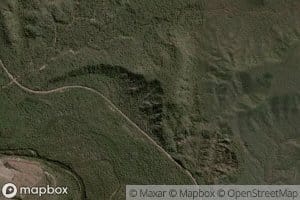 Arroyo de las Saladas