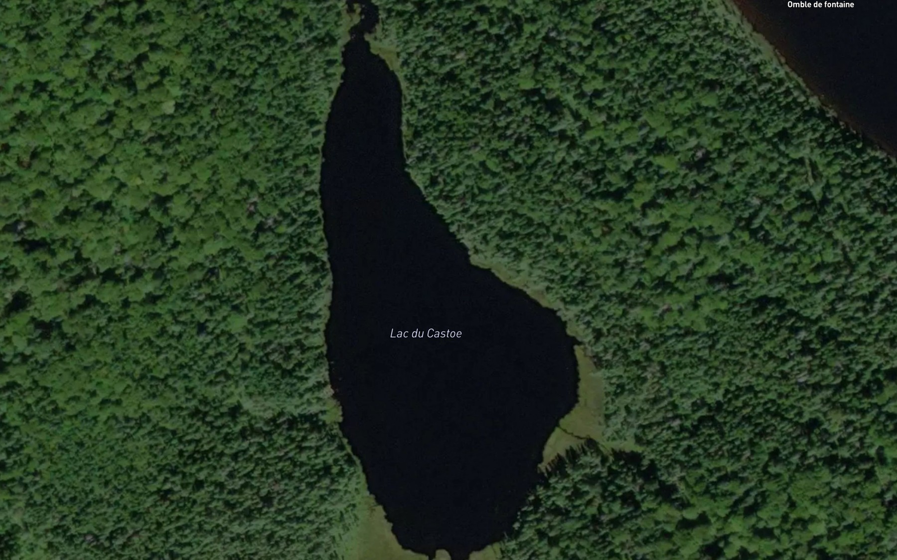 Satellite map of the Lac du Castor