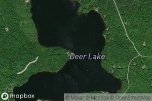 Deer Lake