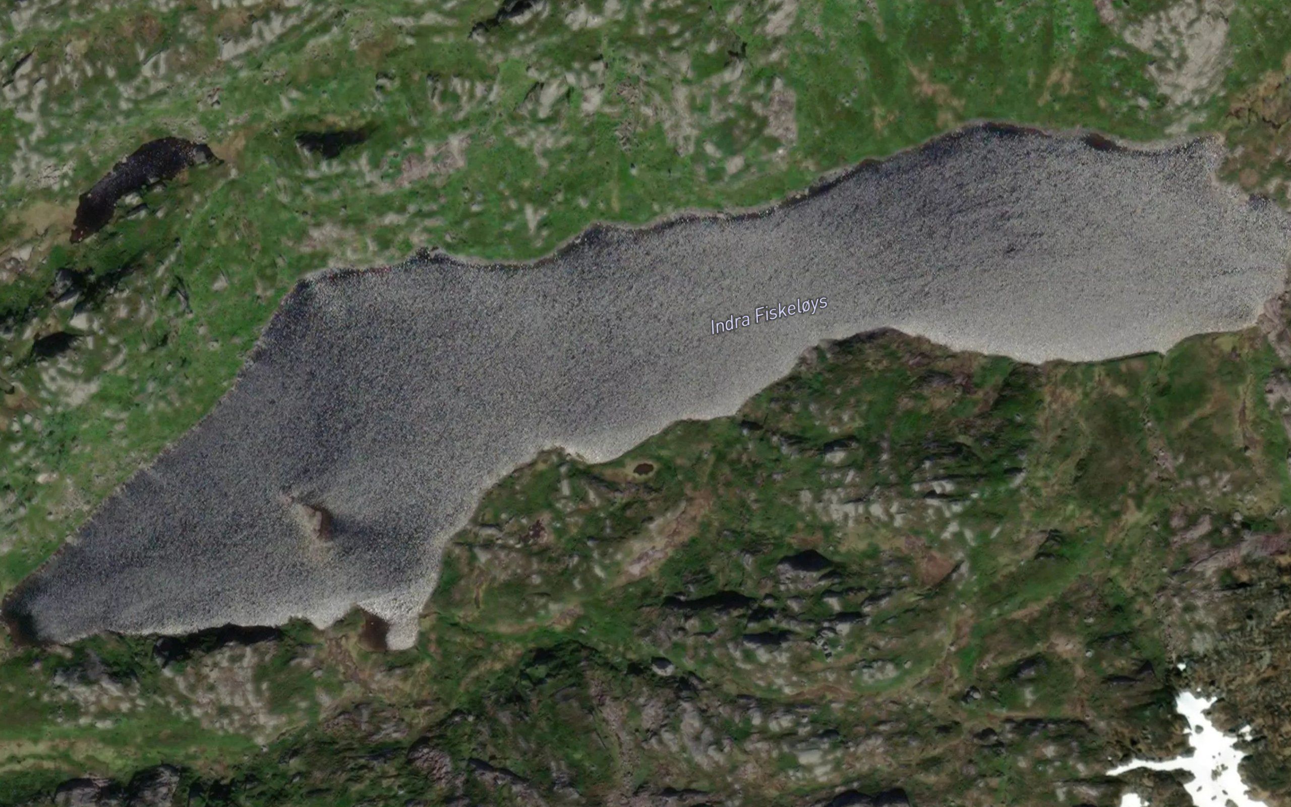 Fiskeloys,in