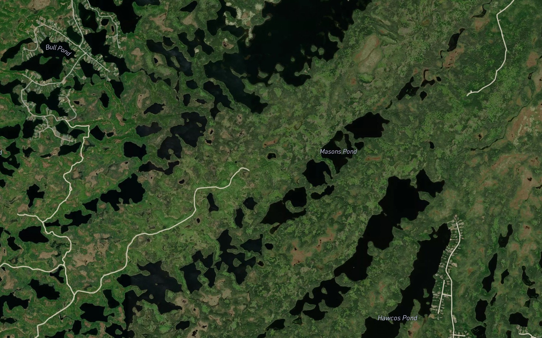 Satellite map of the Williams Pond