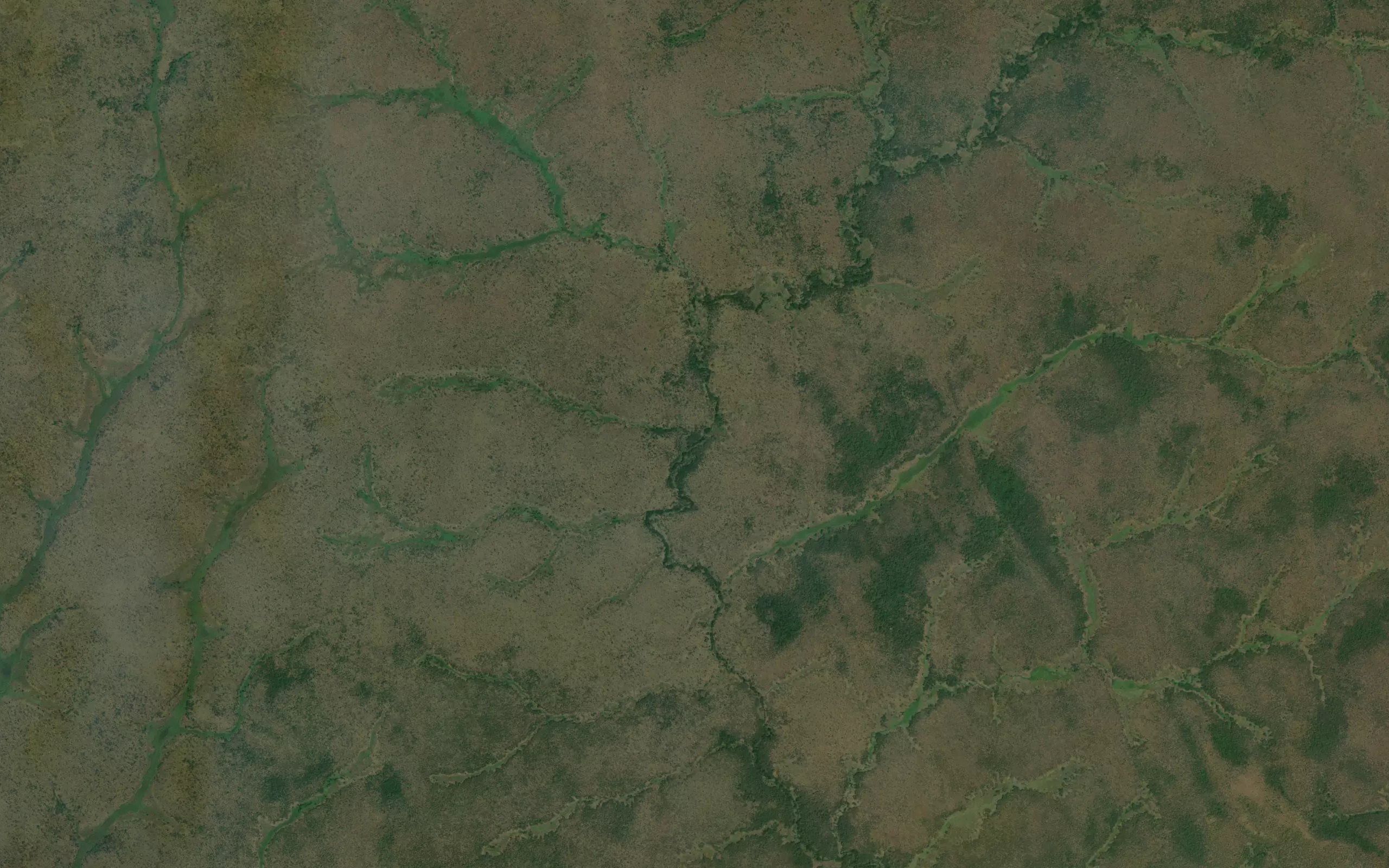 Ngutafa