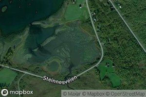 Satellite map of the Innerkjosen