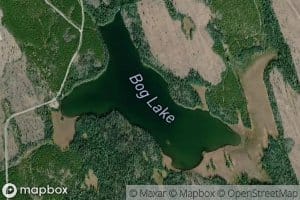 Bog Lake