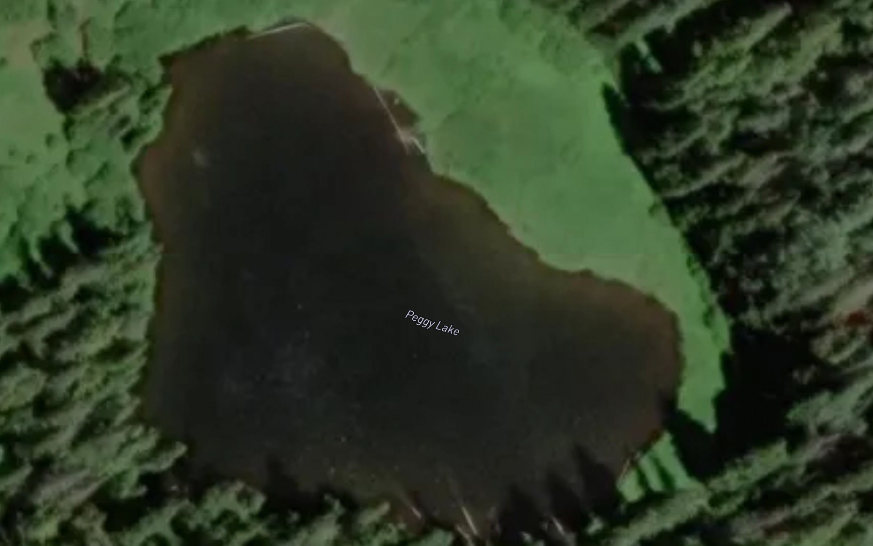 Satellite map of the Peggy Lake