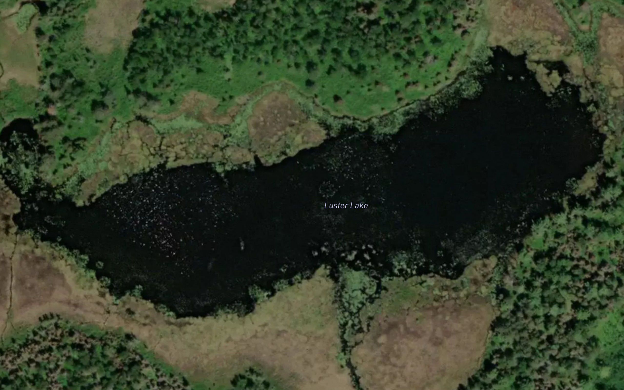 Luster Lake