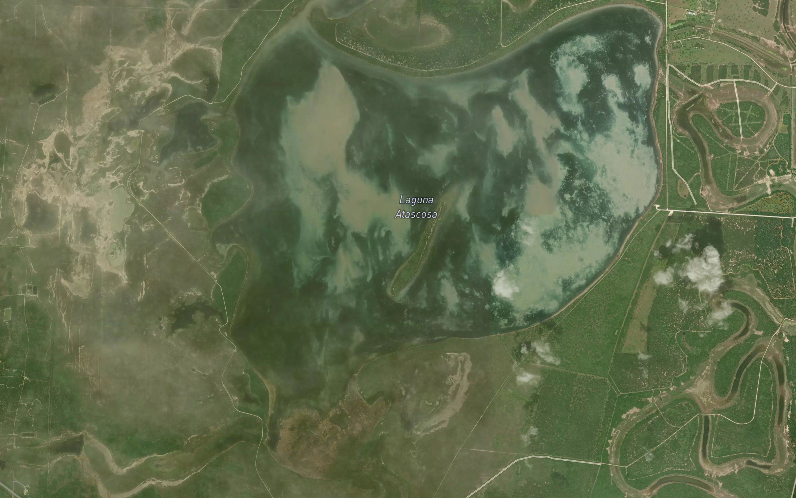Laguna Atascosa