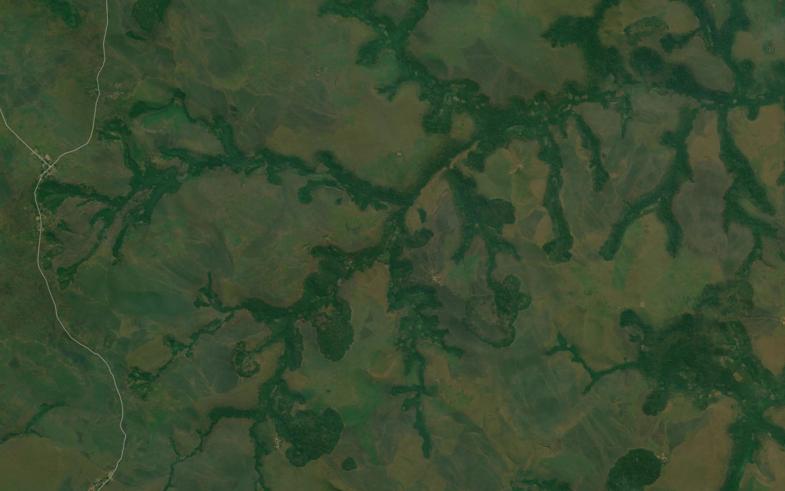 Misangi
