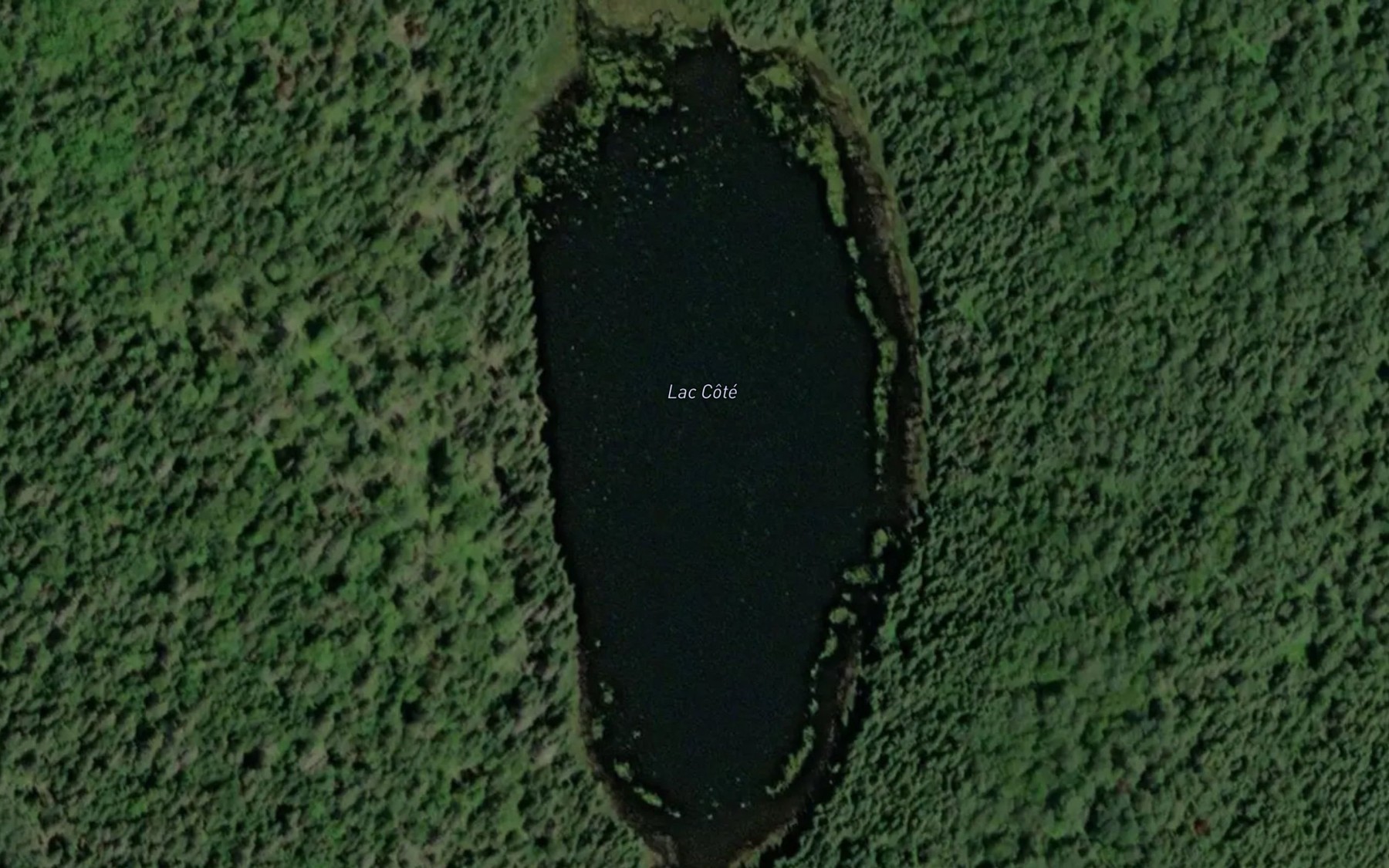 Satellite map of the Lac Cote
