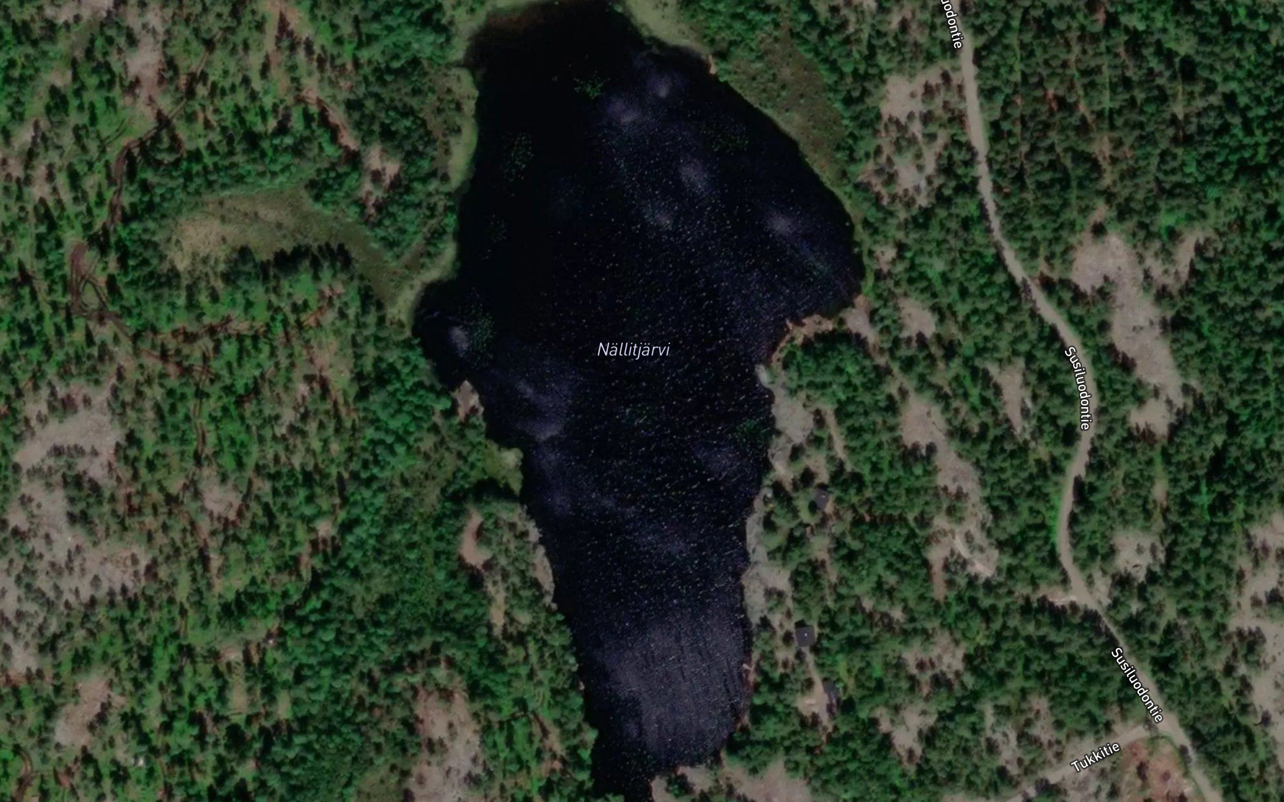 Nallitjarvi