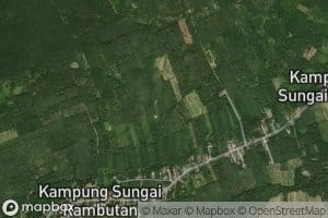 Sungai Anak Rambutan