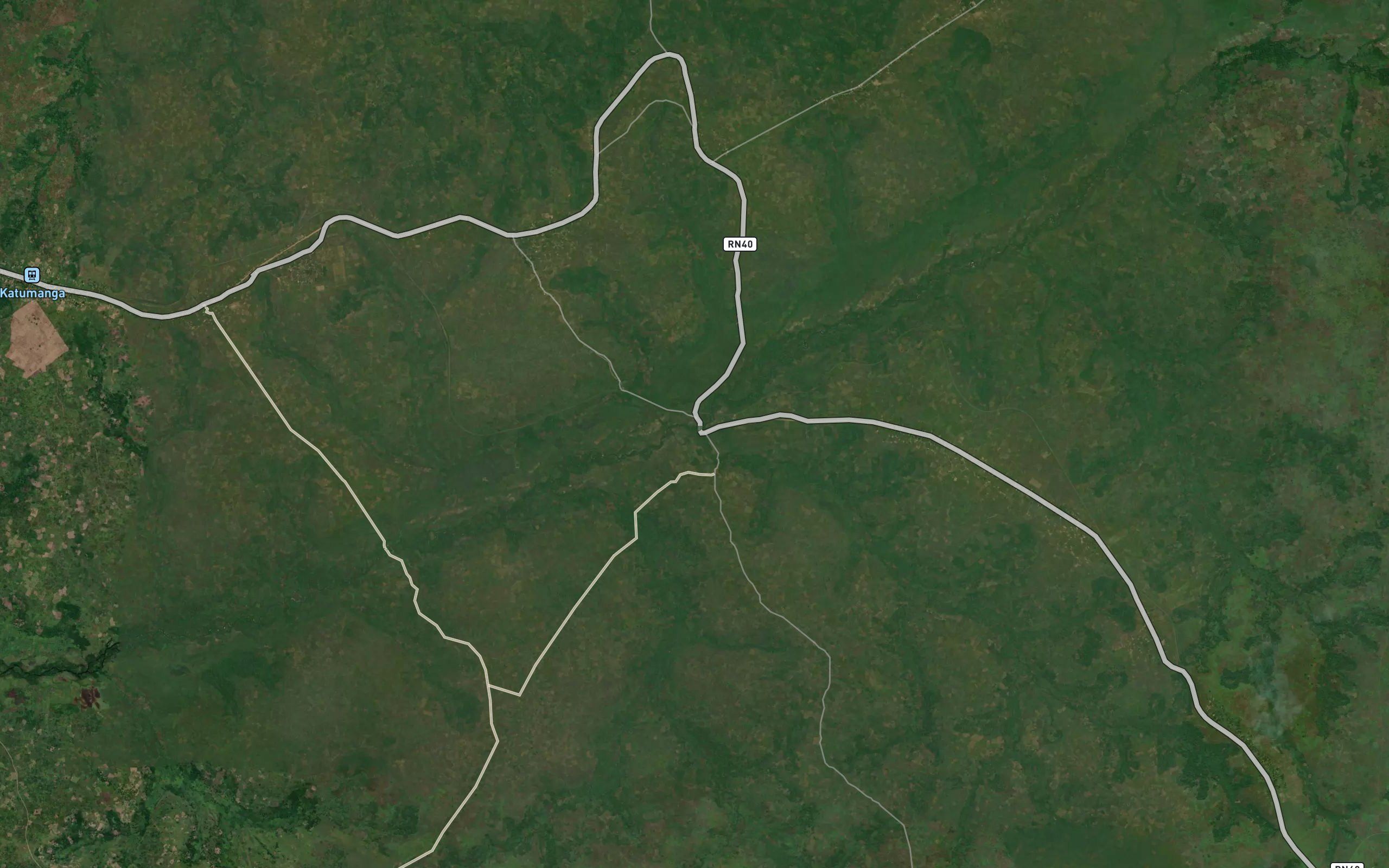 Pungu