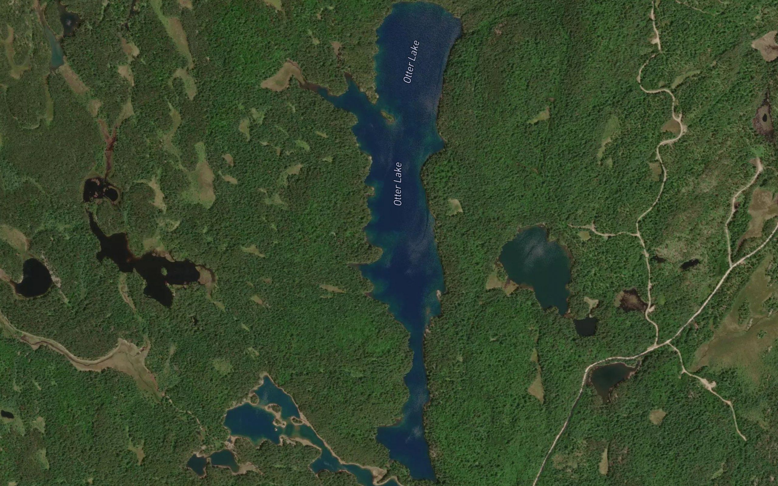 Otter Lake