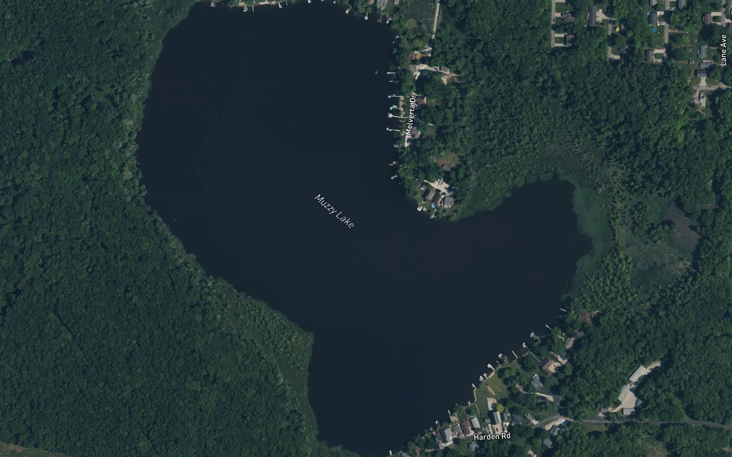 Muzzy Lake
