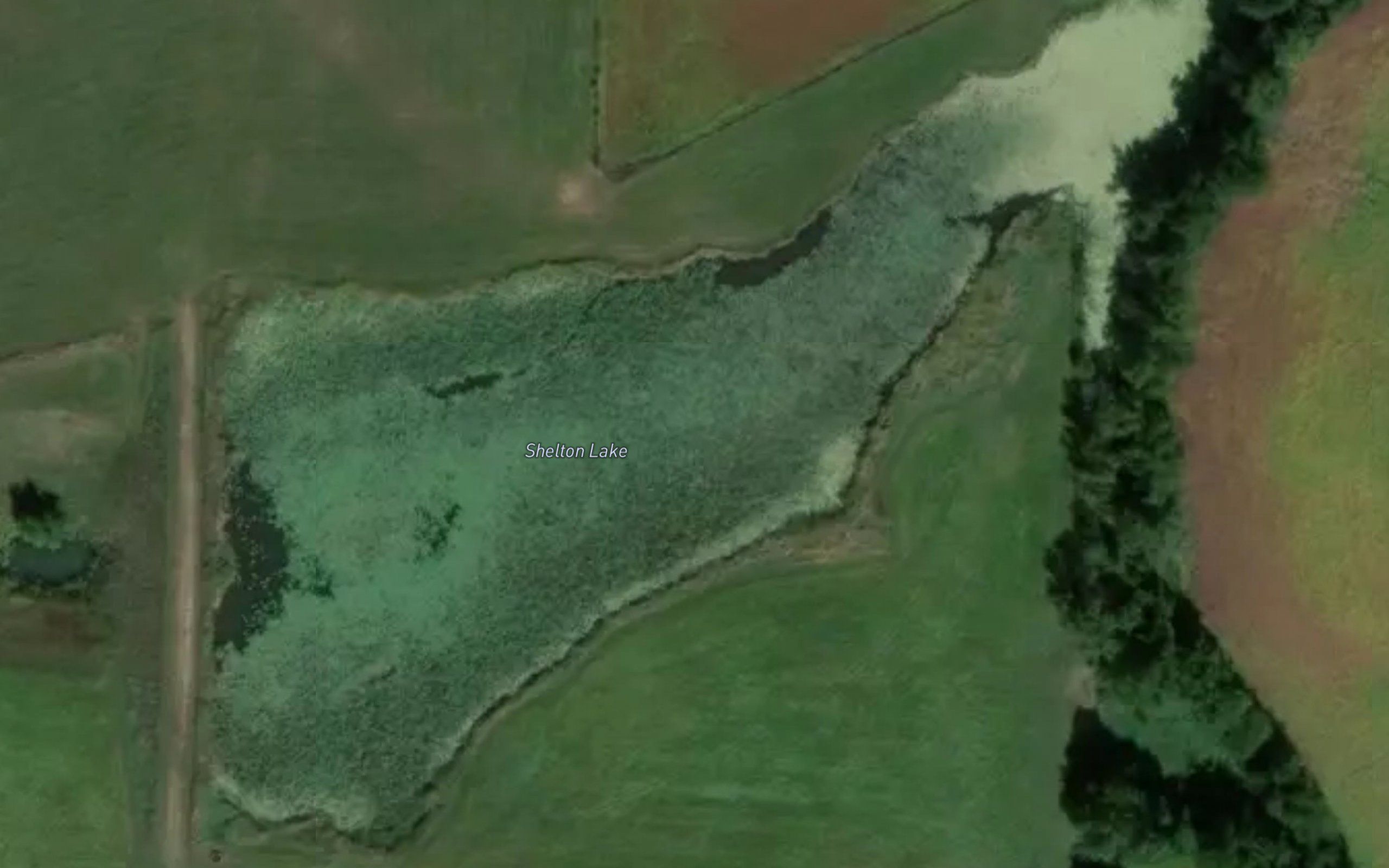 Shelton Lake