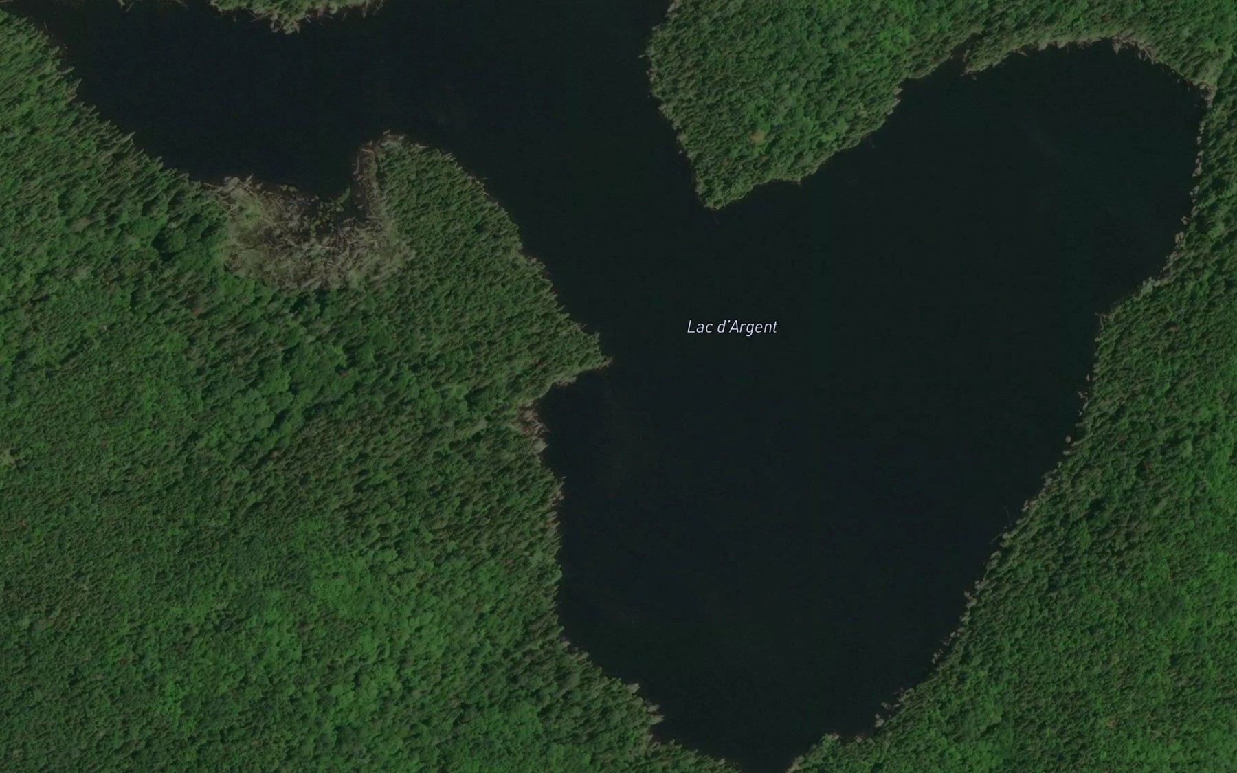Satellite map of the Lac d'Argent