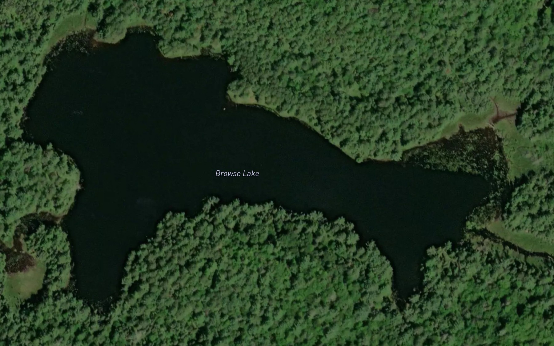 Satellite map of the Browse Lake