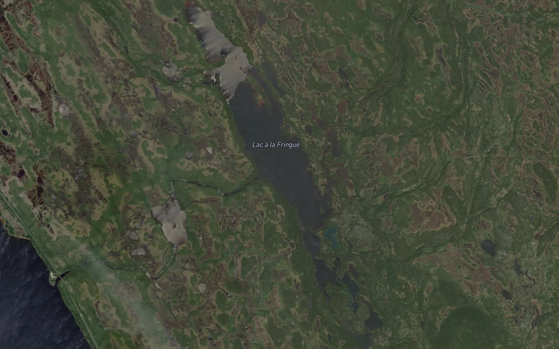 Satellite map of the Lac a la Fringue