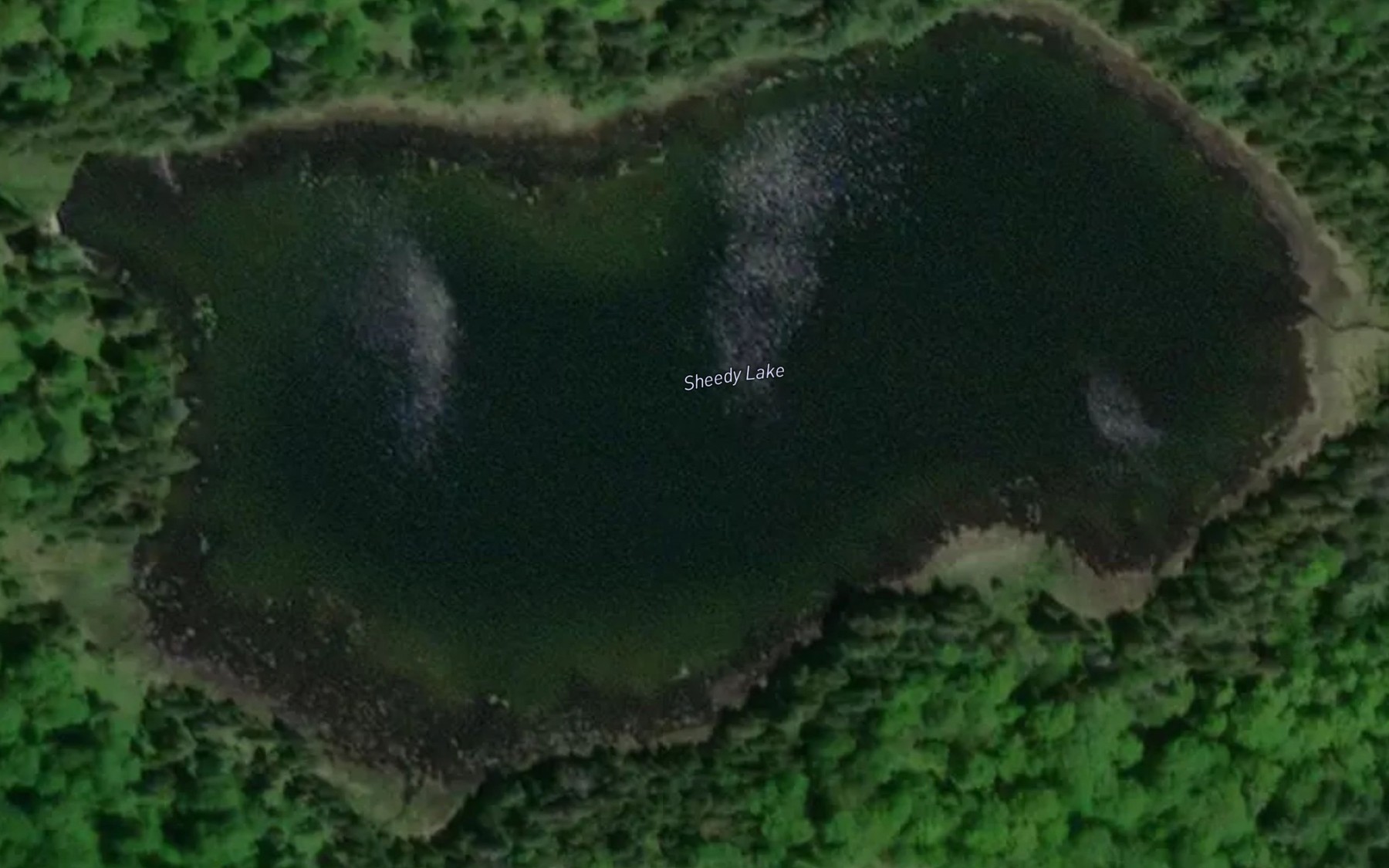 Satellite map of the Sheedy Lake