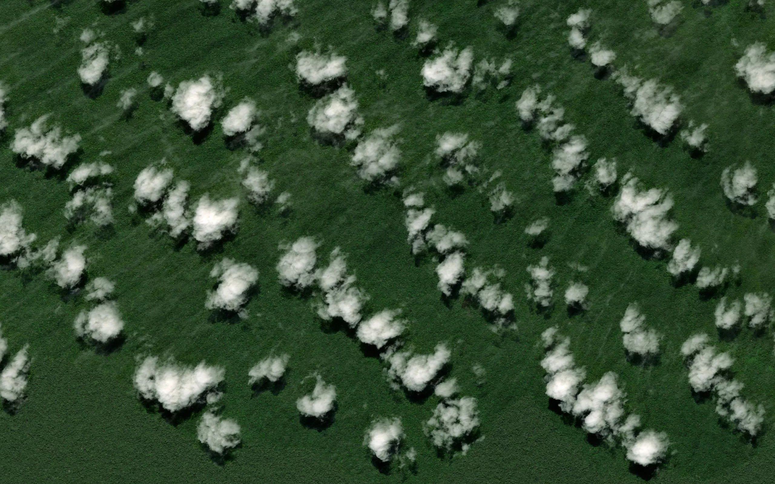 Rio Sabaloyacu