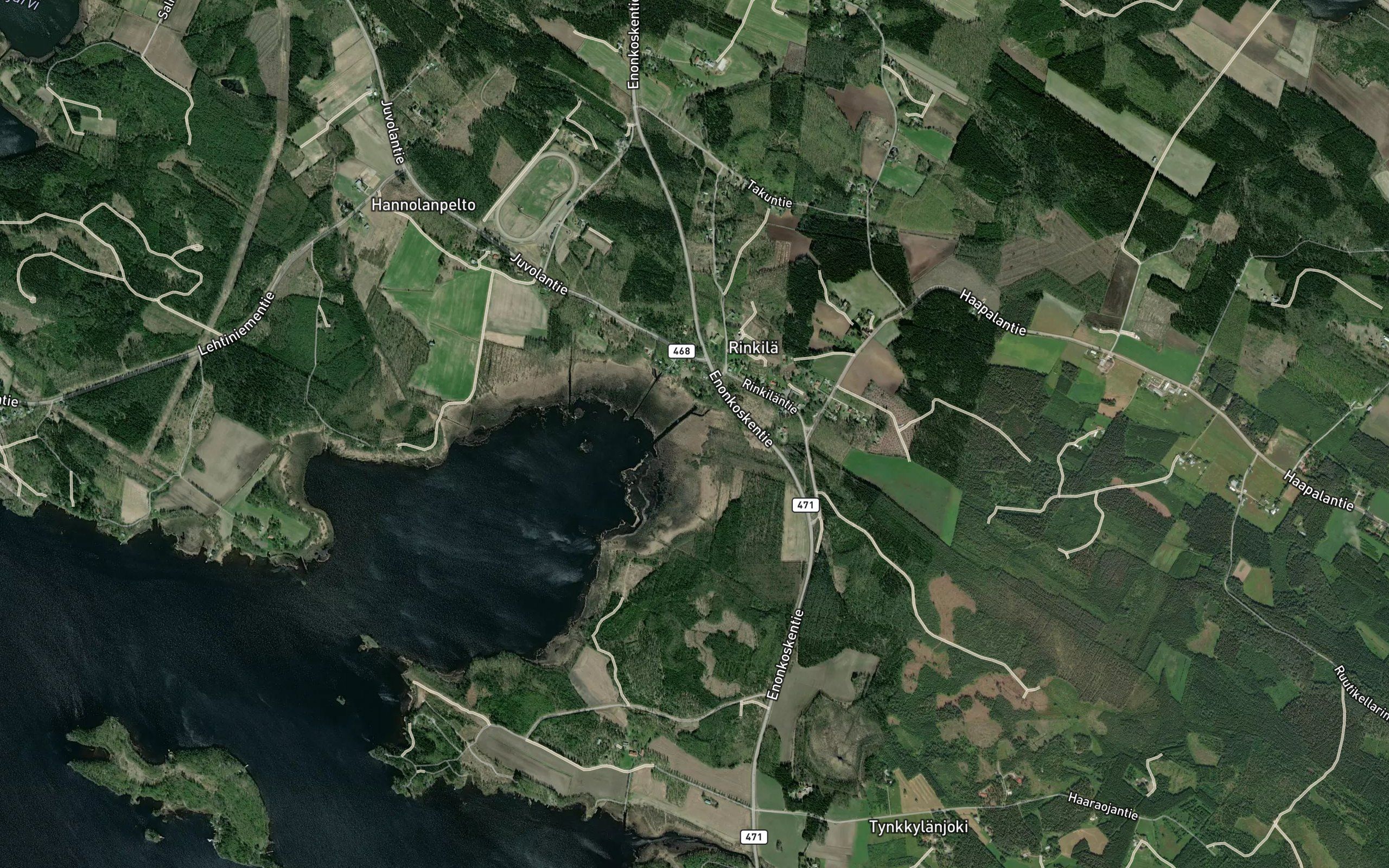 Leppanotkonoja