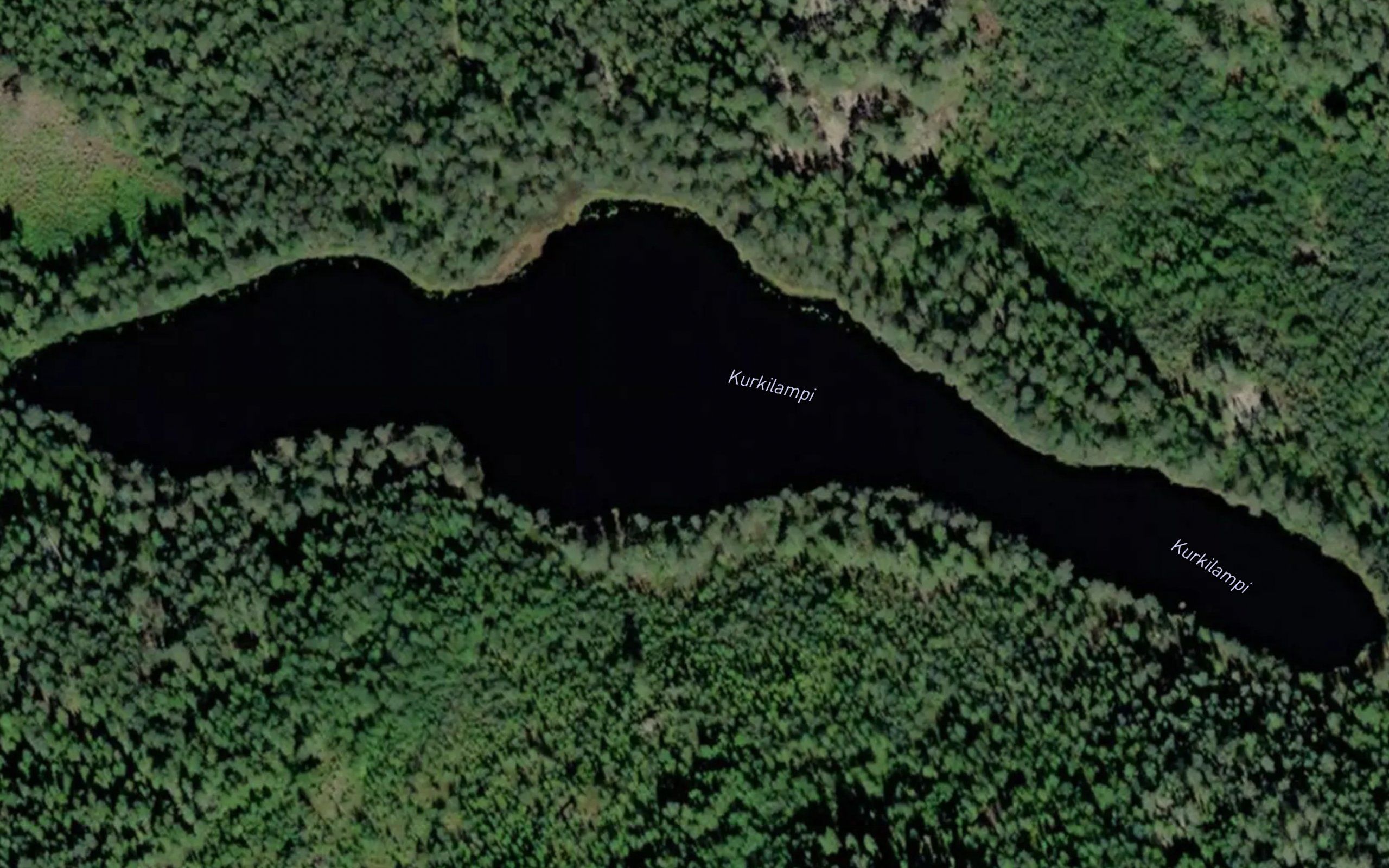 Kurkilampi