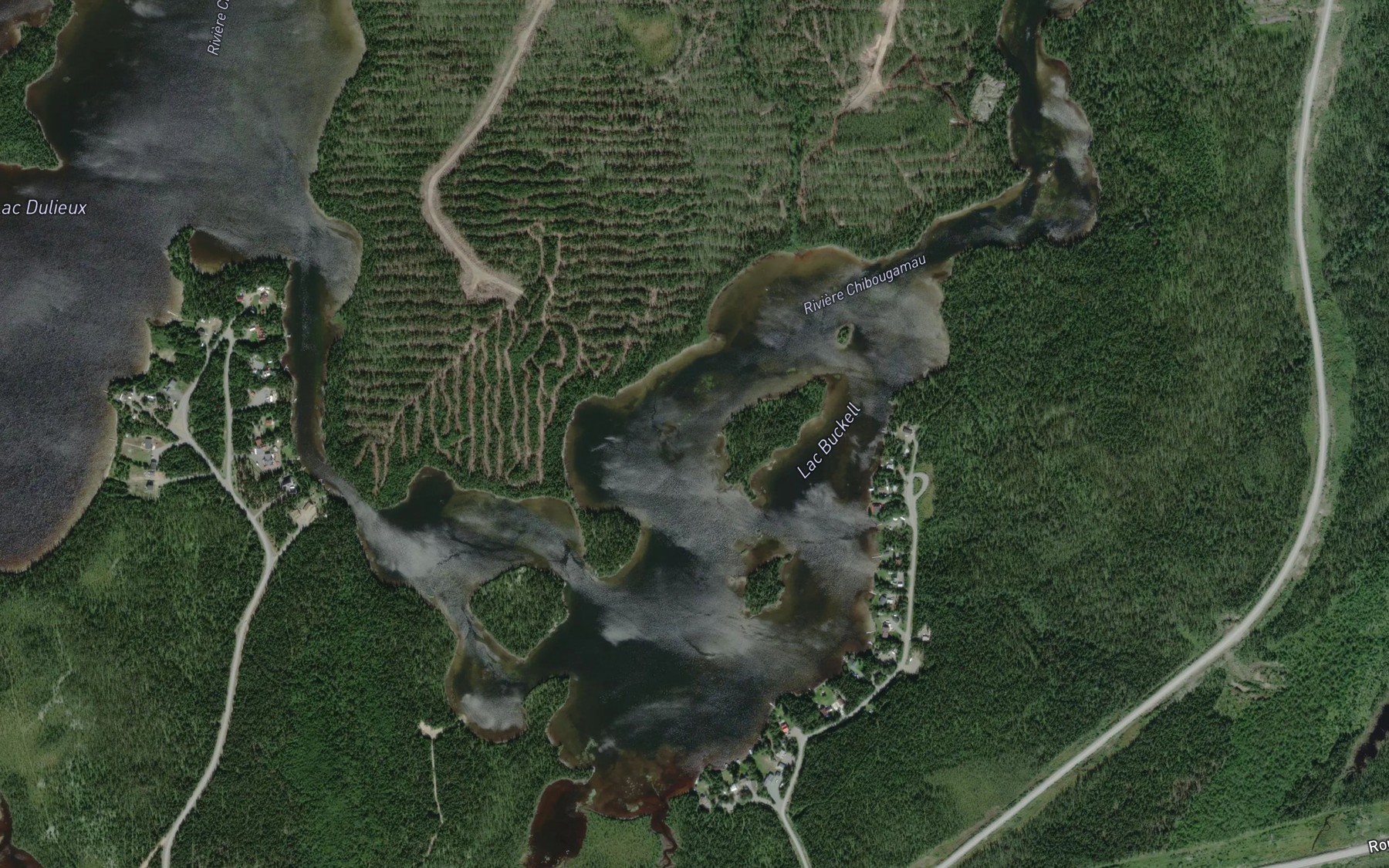 Satellite map of the Lac Buckell