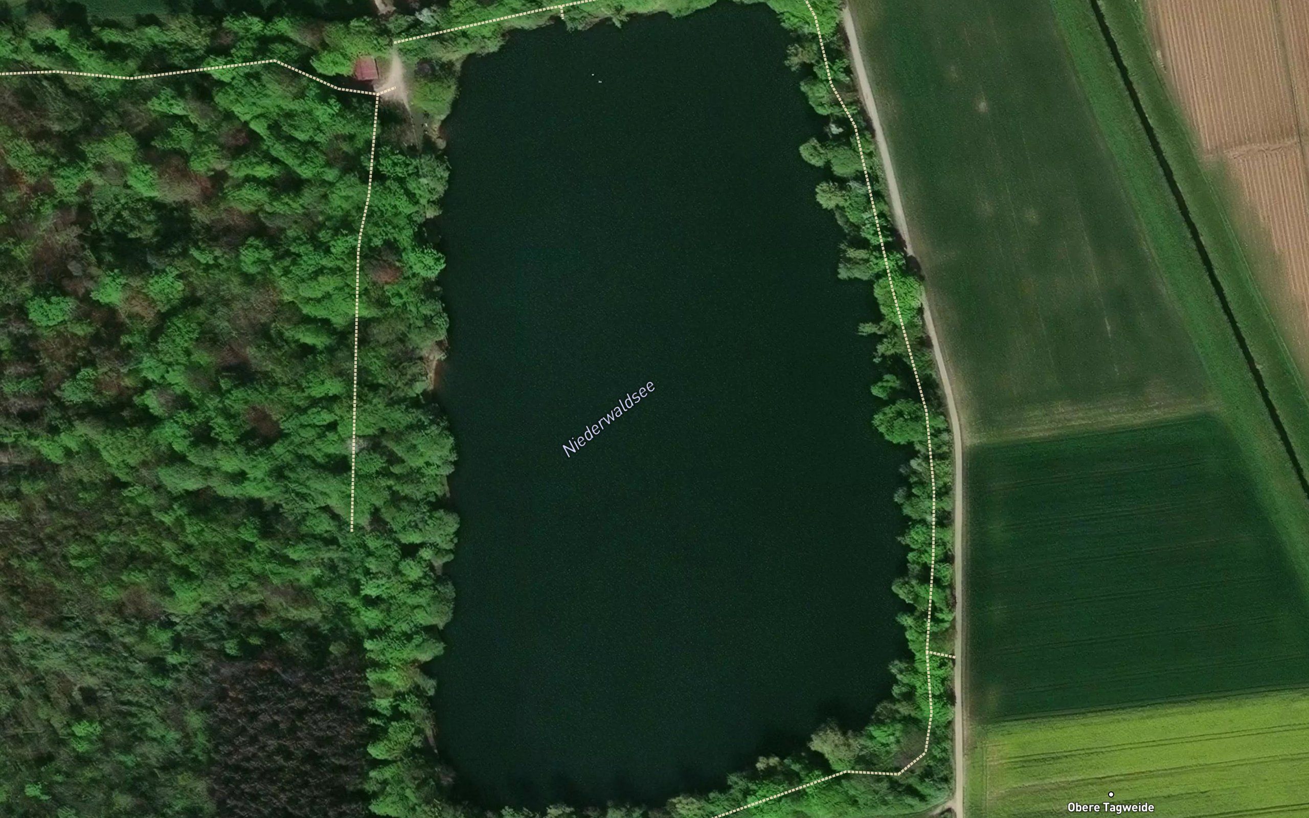 Niederwaldsee