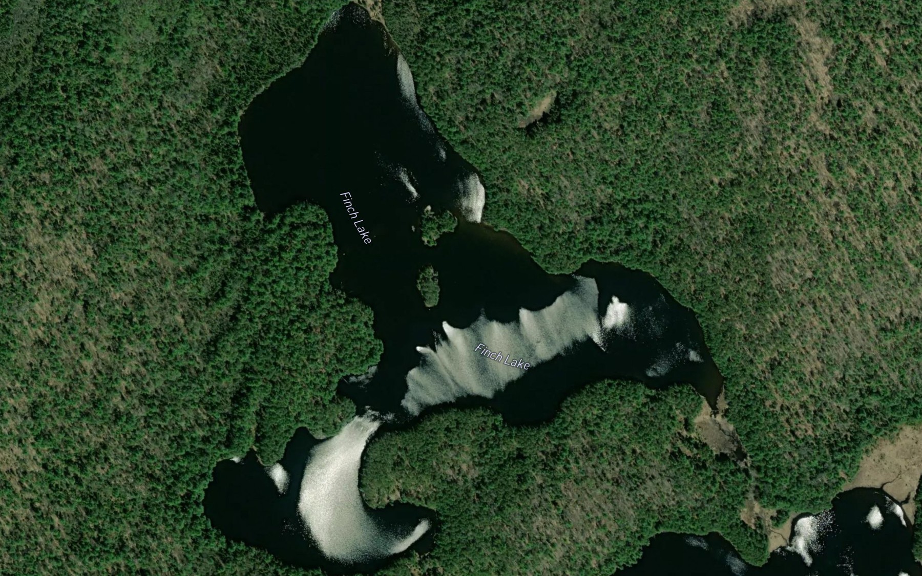 Satellite map of the Finch Lake