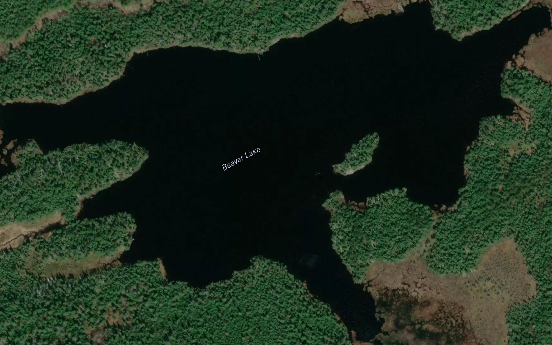 Satellite map of the Beaver Lake
