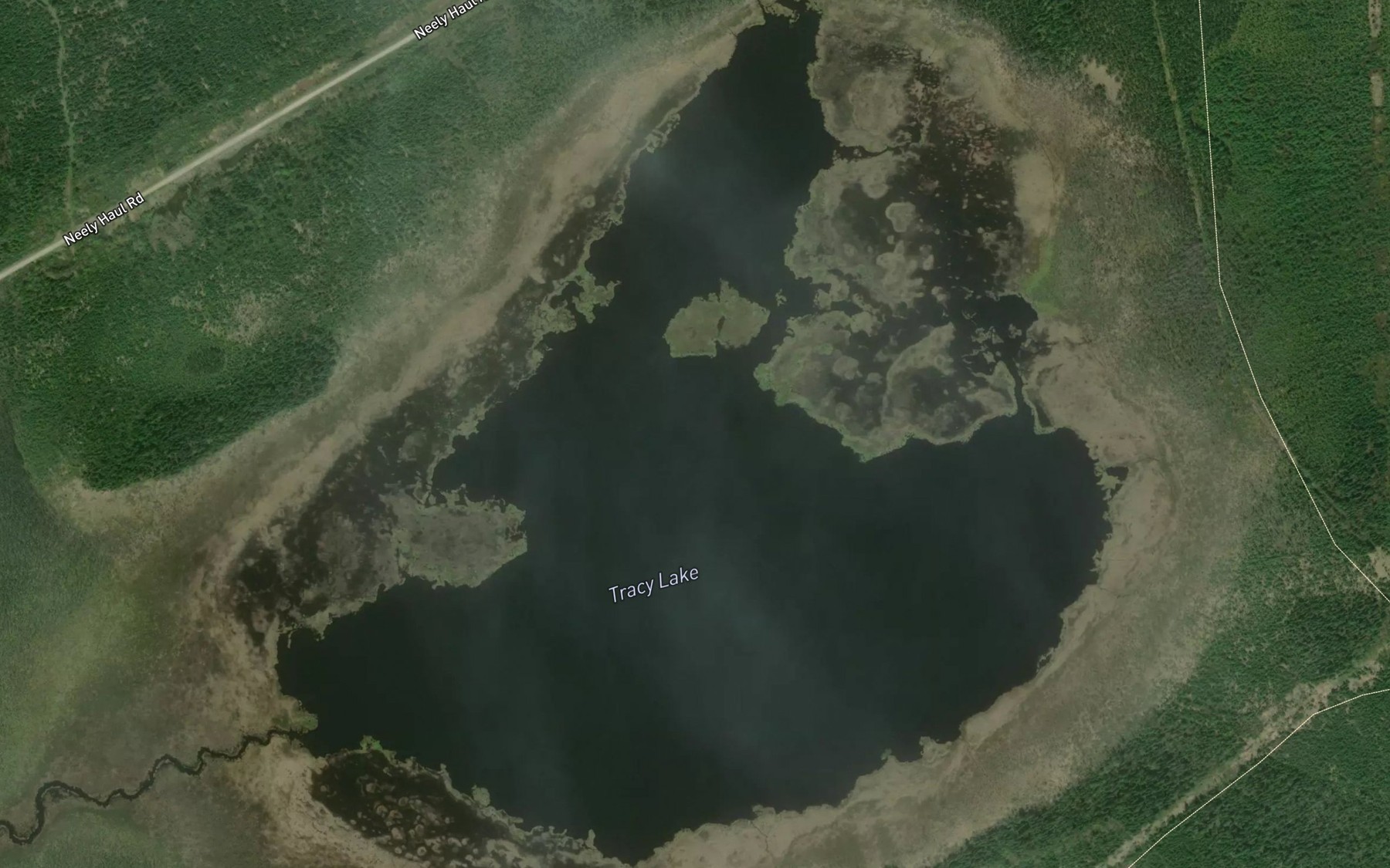 Satellite map of the Tracy Lake
