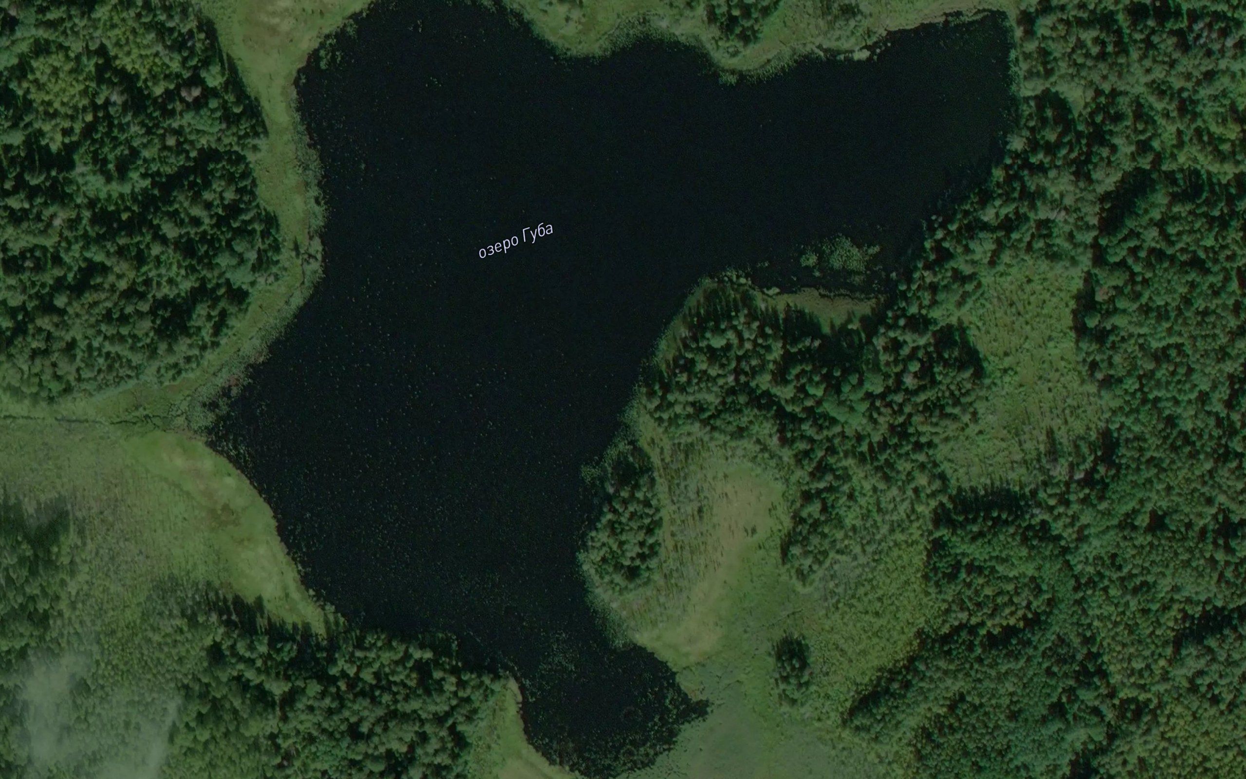 Ozero Guba