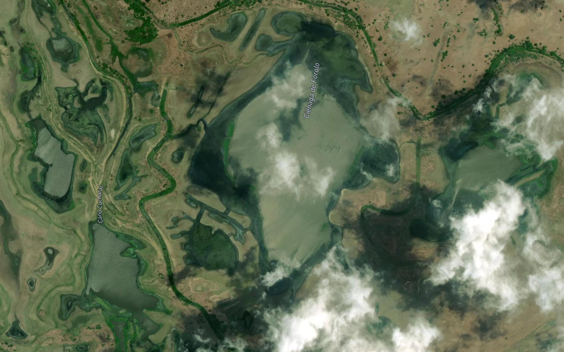 Satellite map of the Cienaga de Forolo