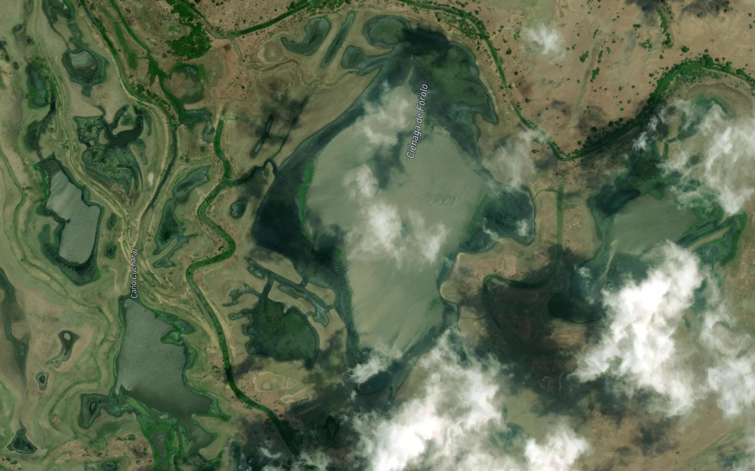 Cienaga de Forolo