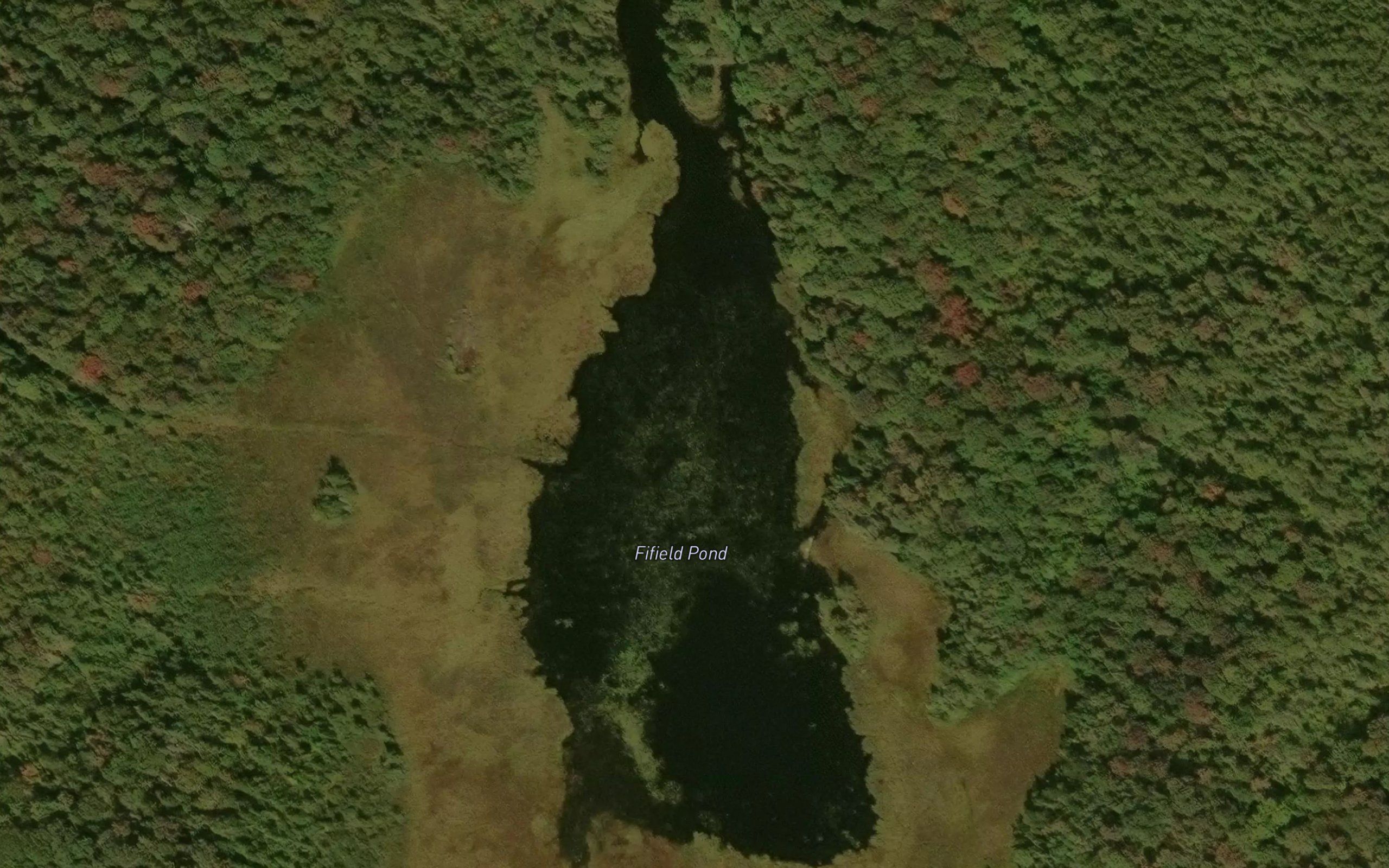 Fifield Pond