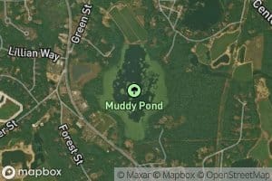 Muddy Pond