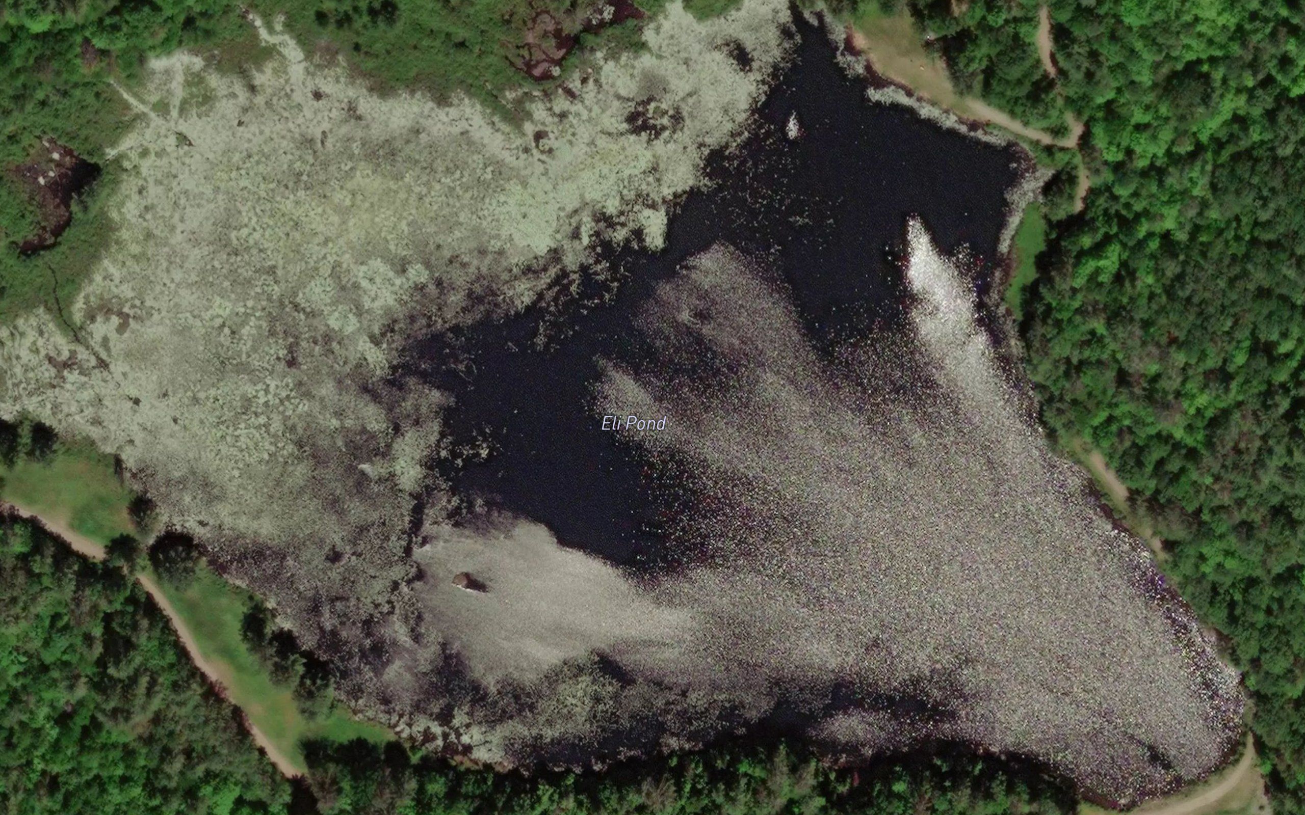 Eli Pond
