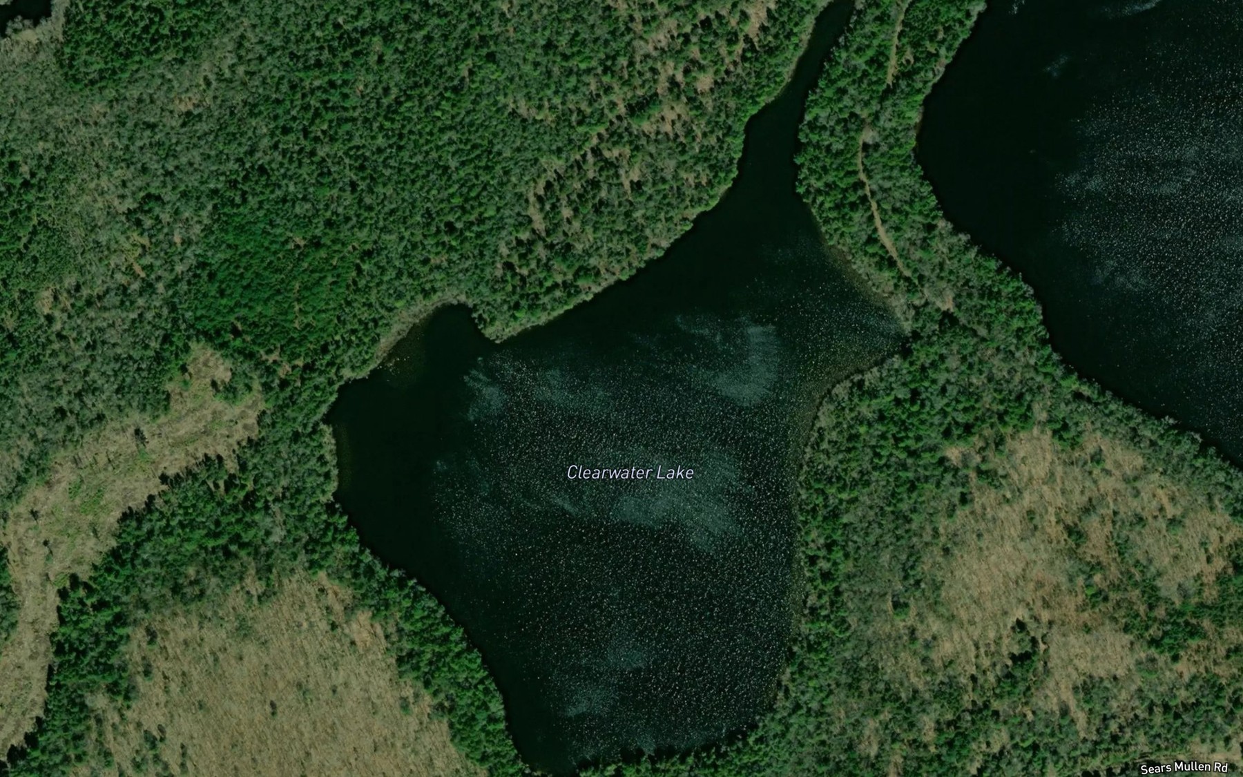 Satellite map of the Clearwater Lake