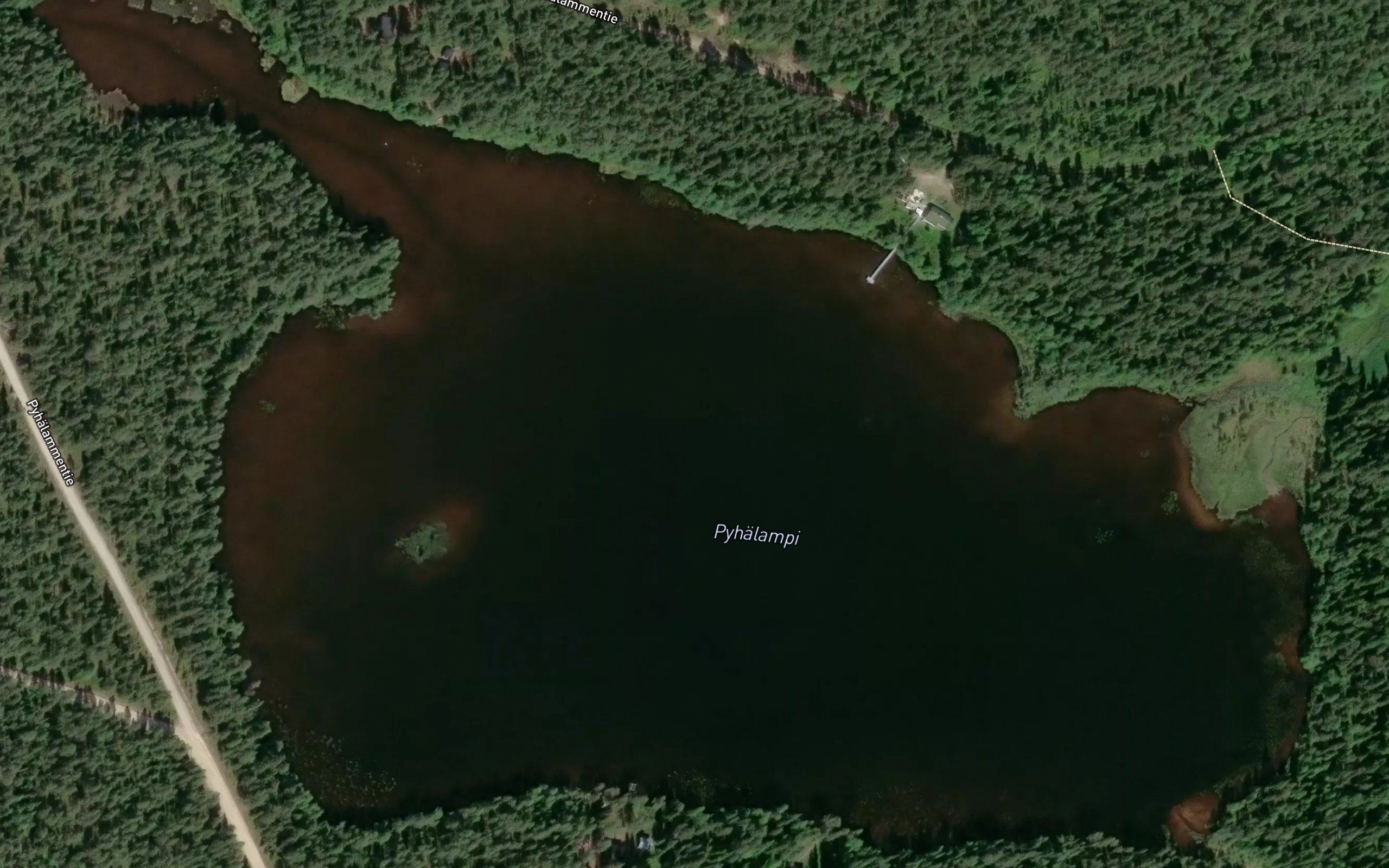 Pyhalampi