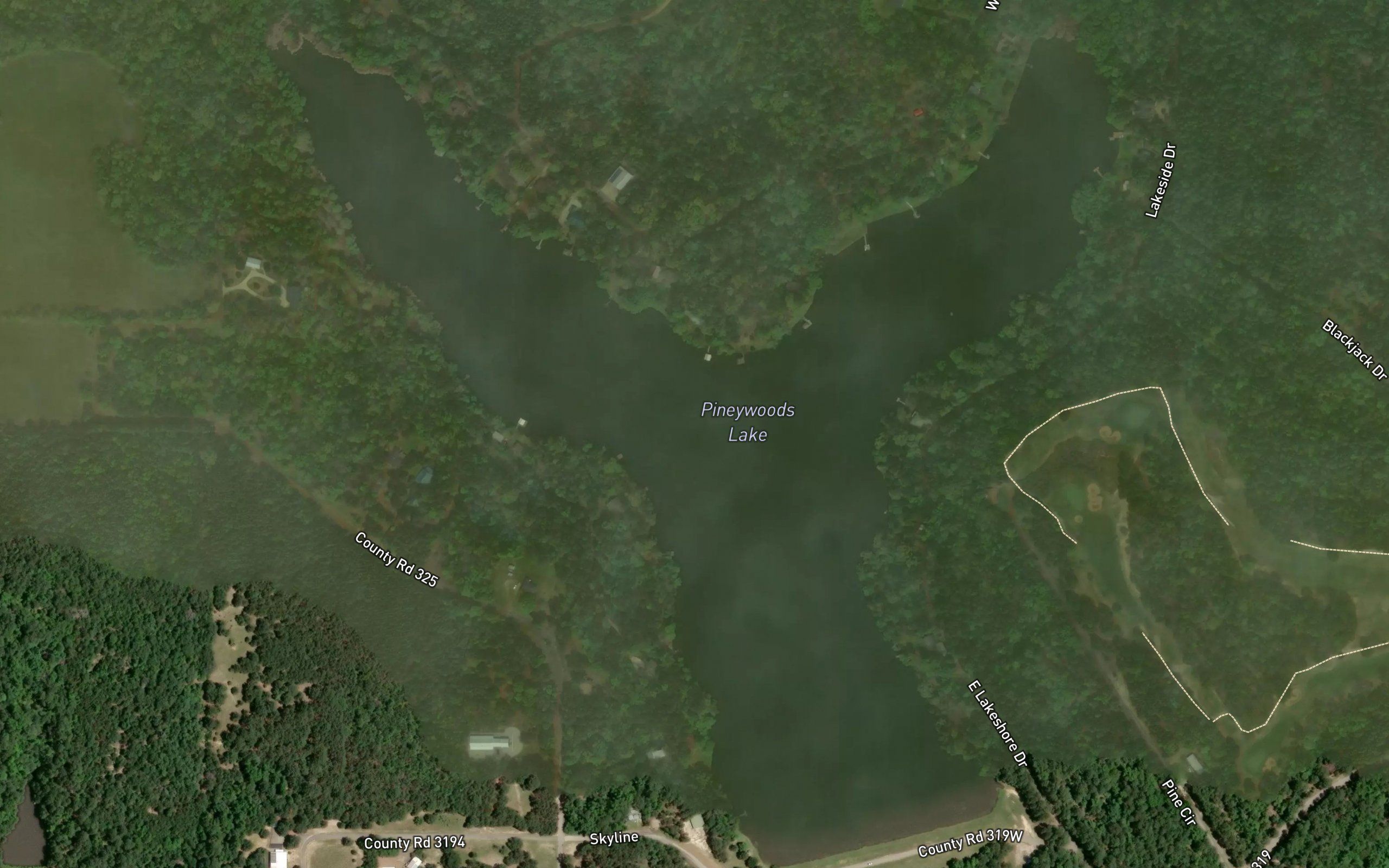 Pineywoods Lake