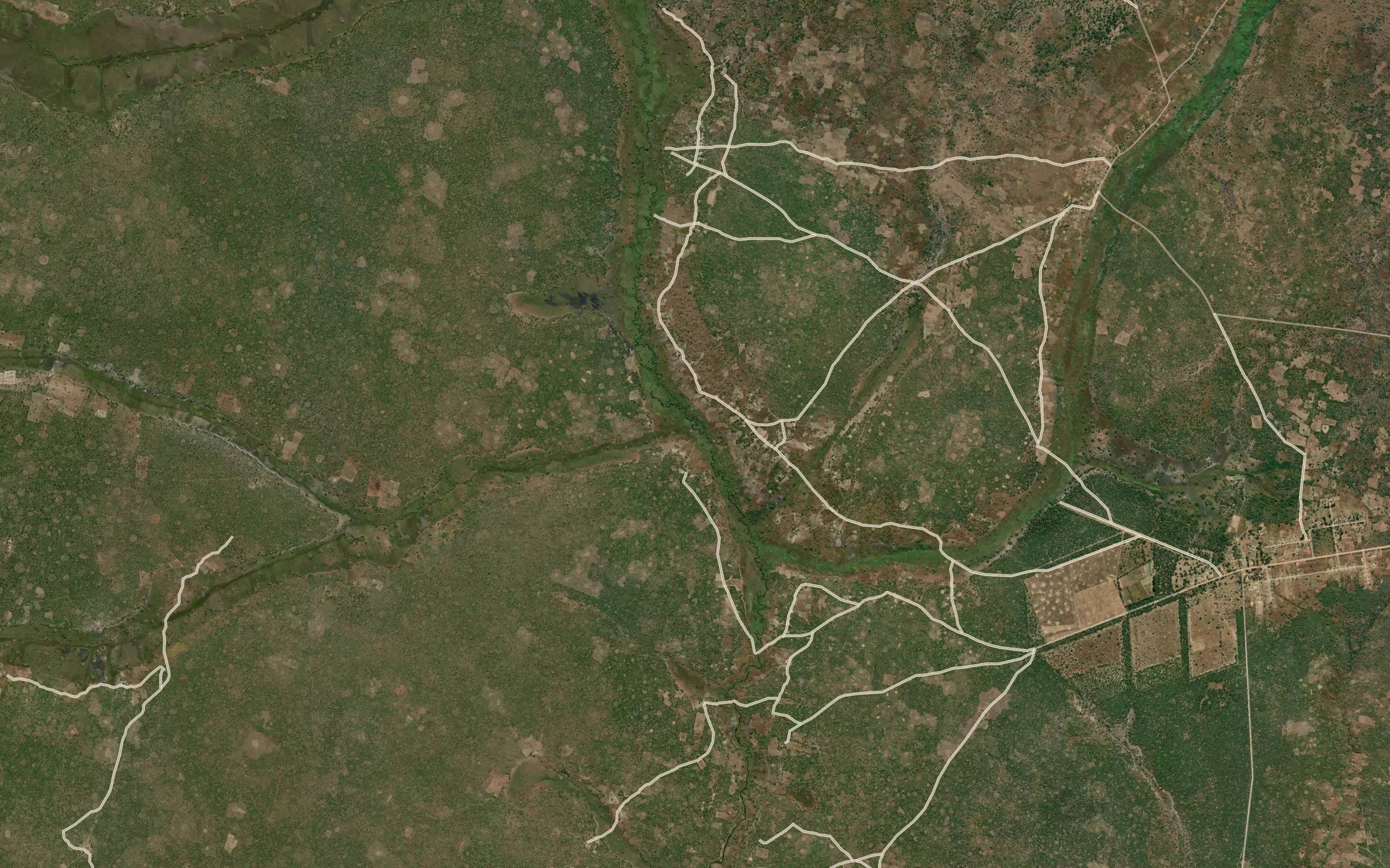 Njeli