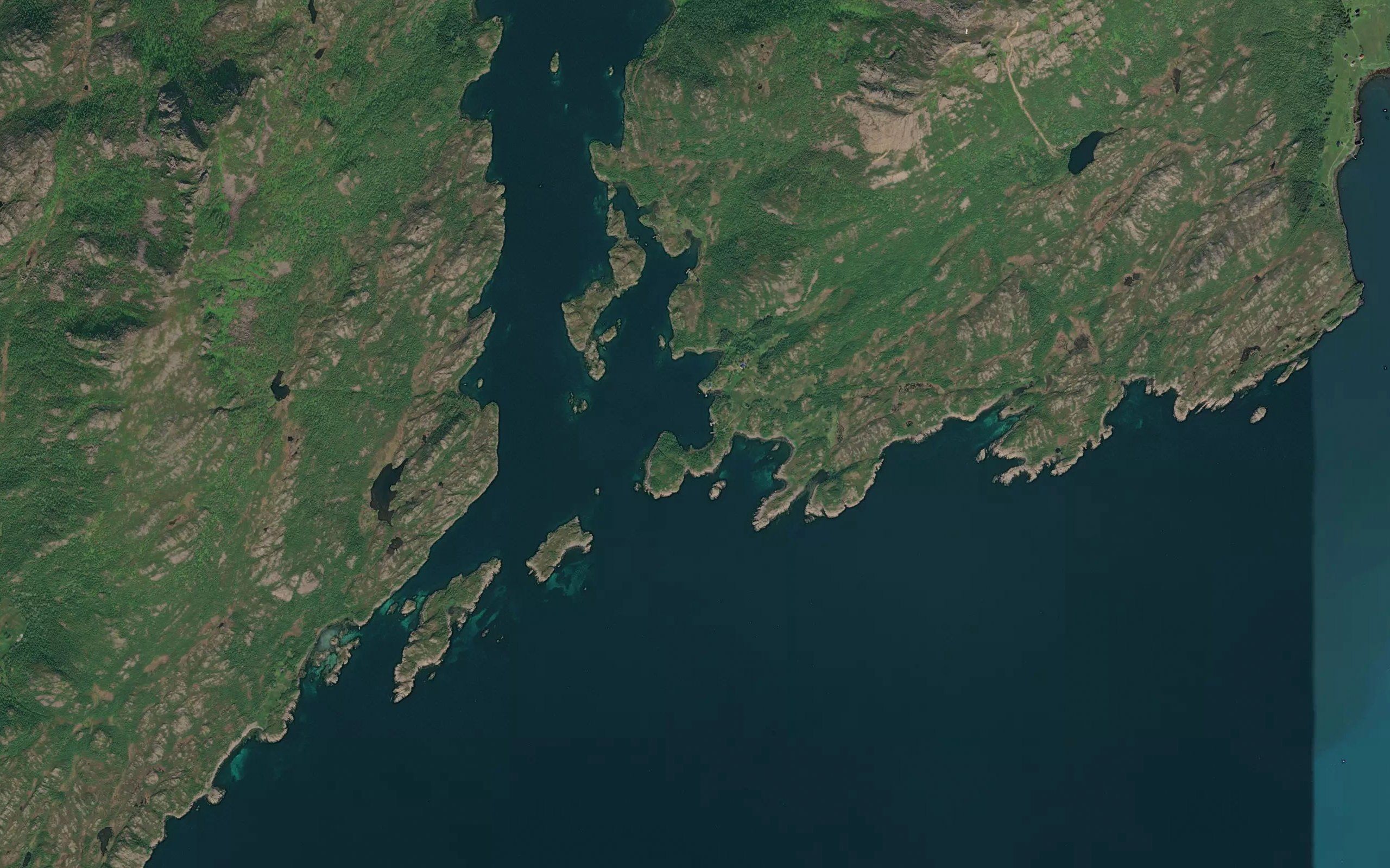 Skarvbukta
