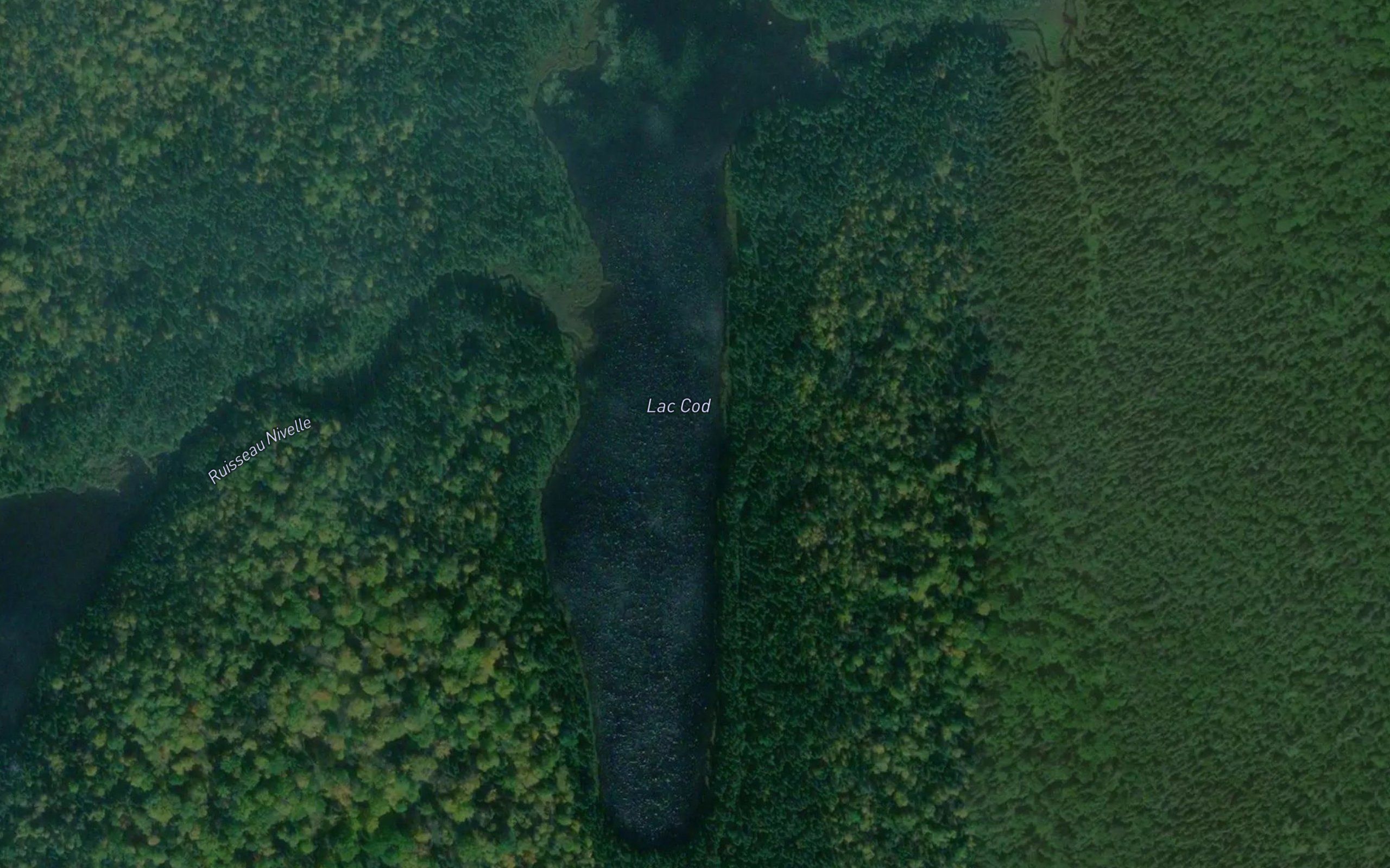 Lac Cod