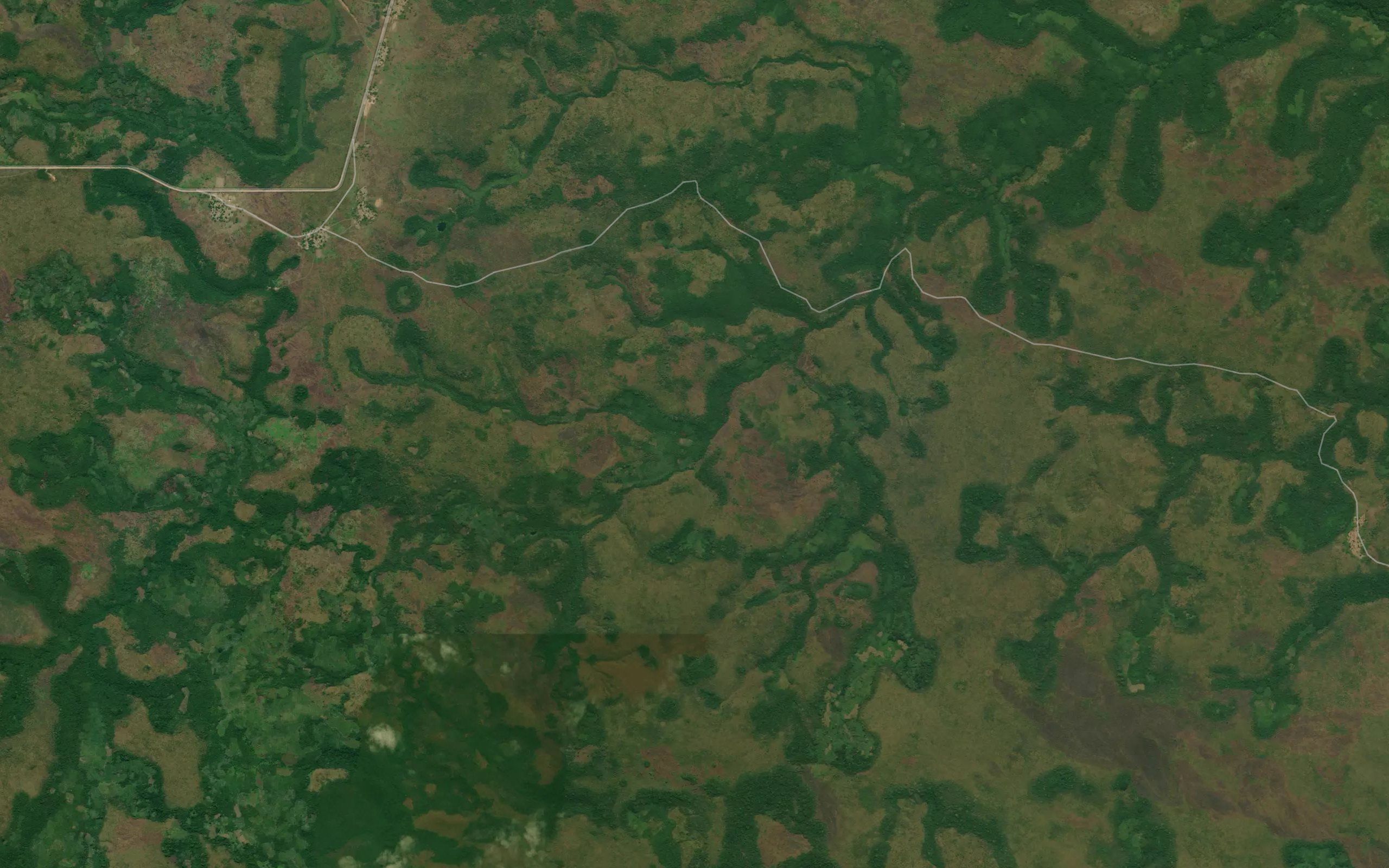 Longo