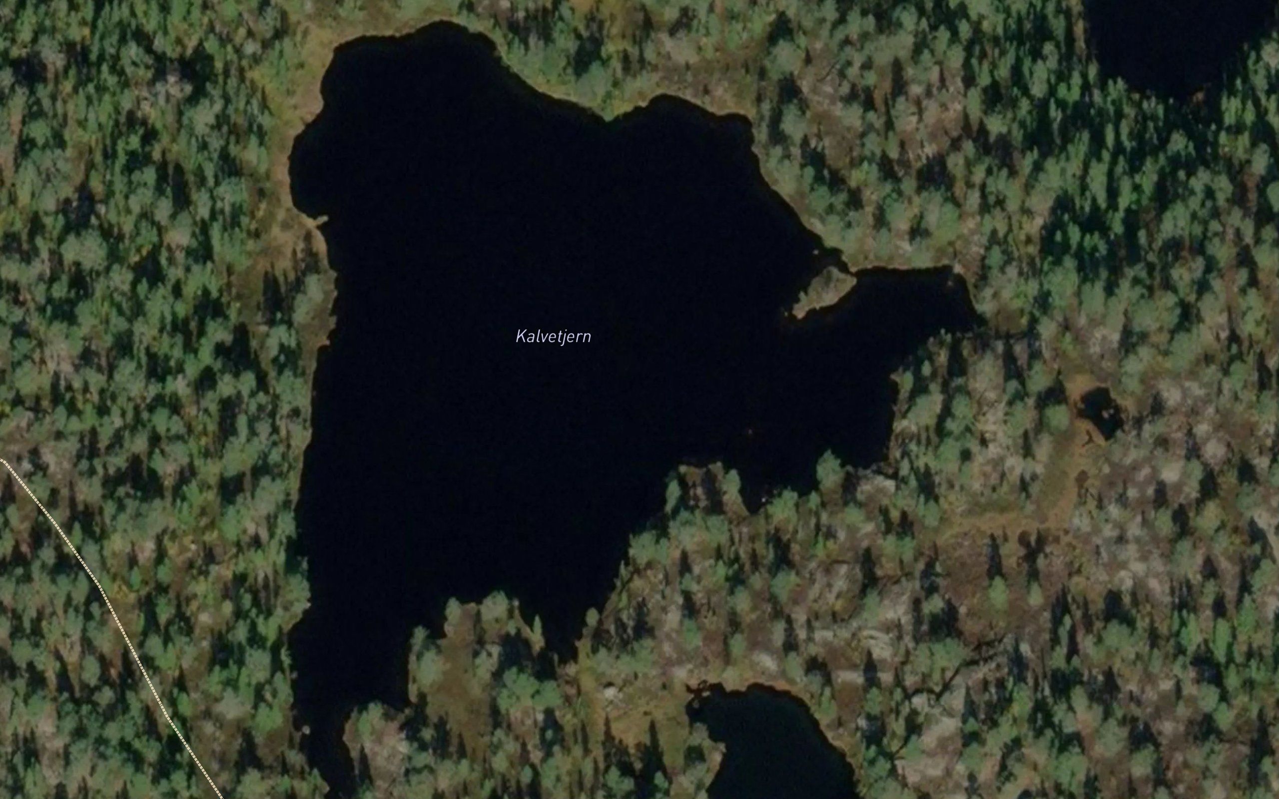 Kalvetjern