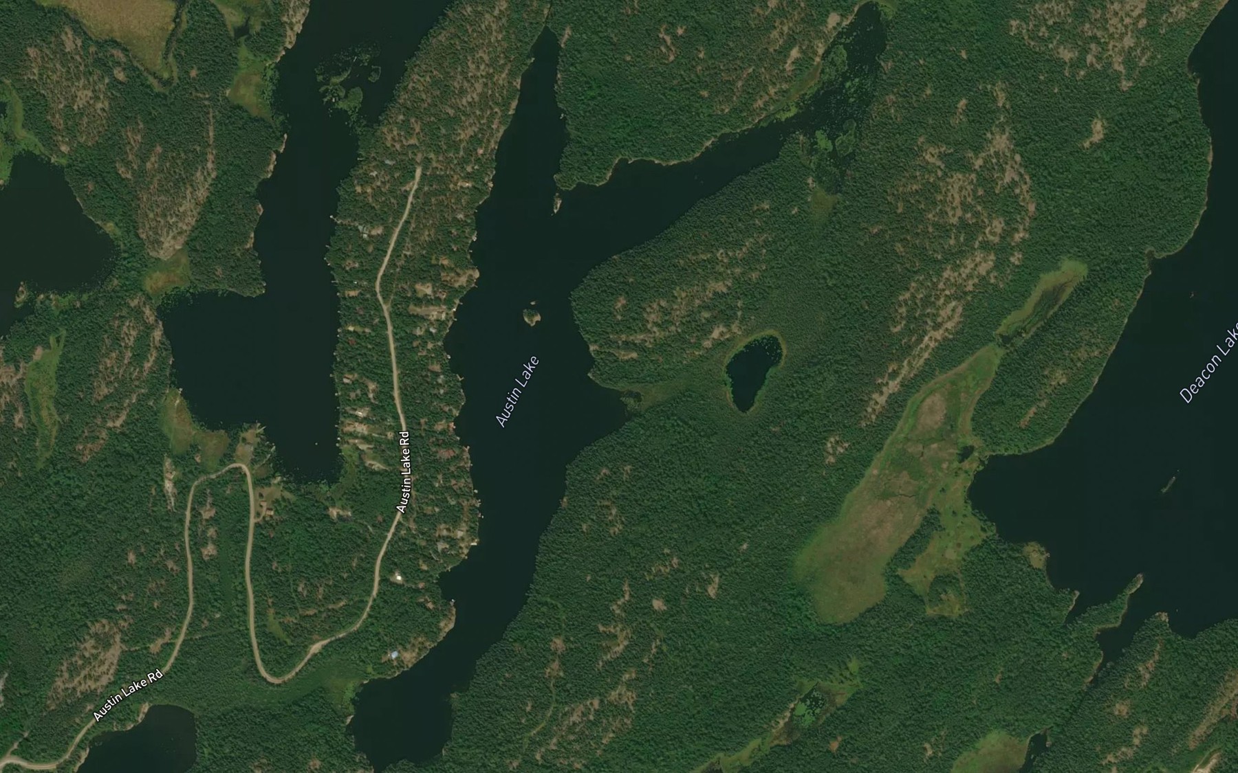 Satellite map of the Austin Lake