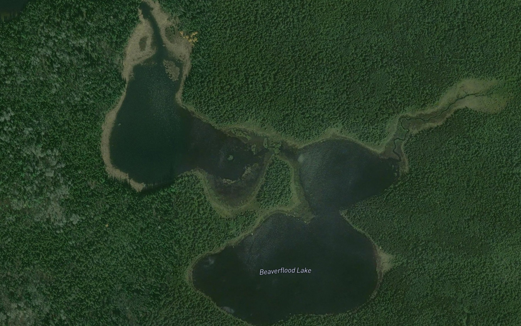 Satellite map of the Beaverflood Lake